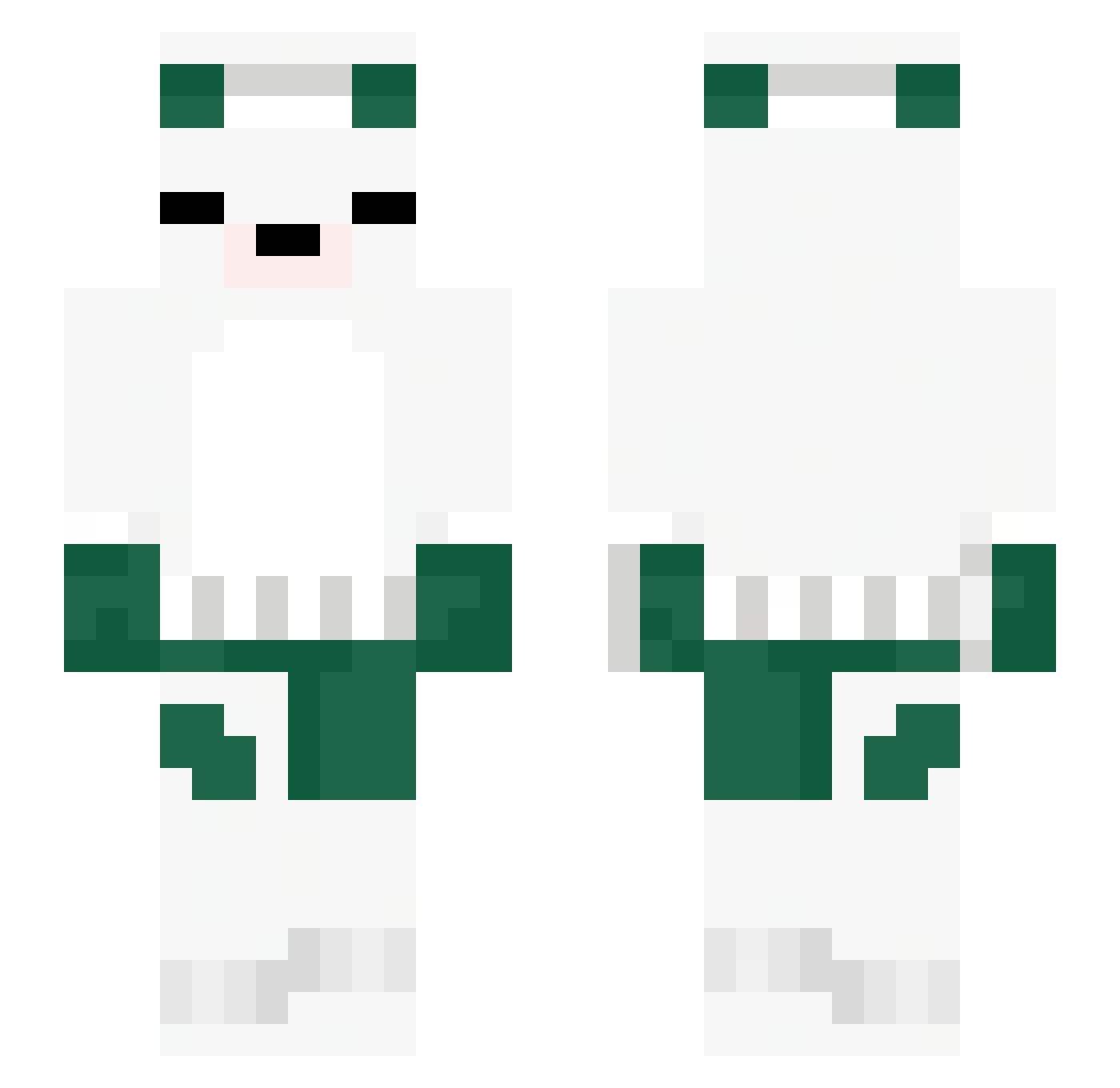Searchhh Minecraft skin, front and back view