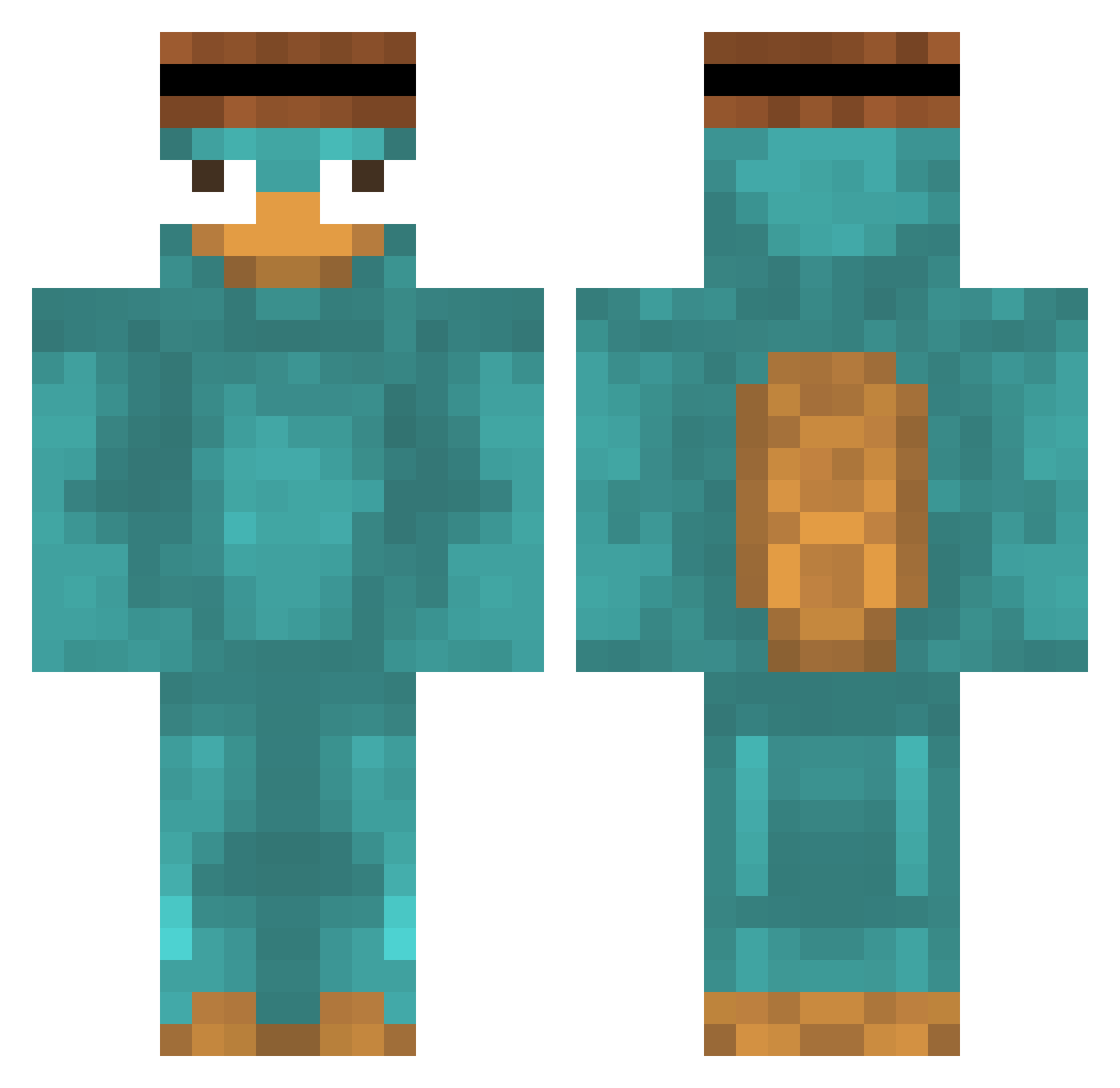 fimhax Minecraft skin, front and back view