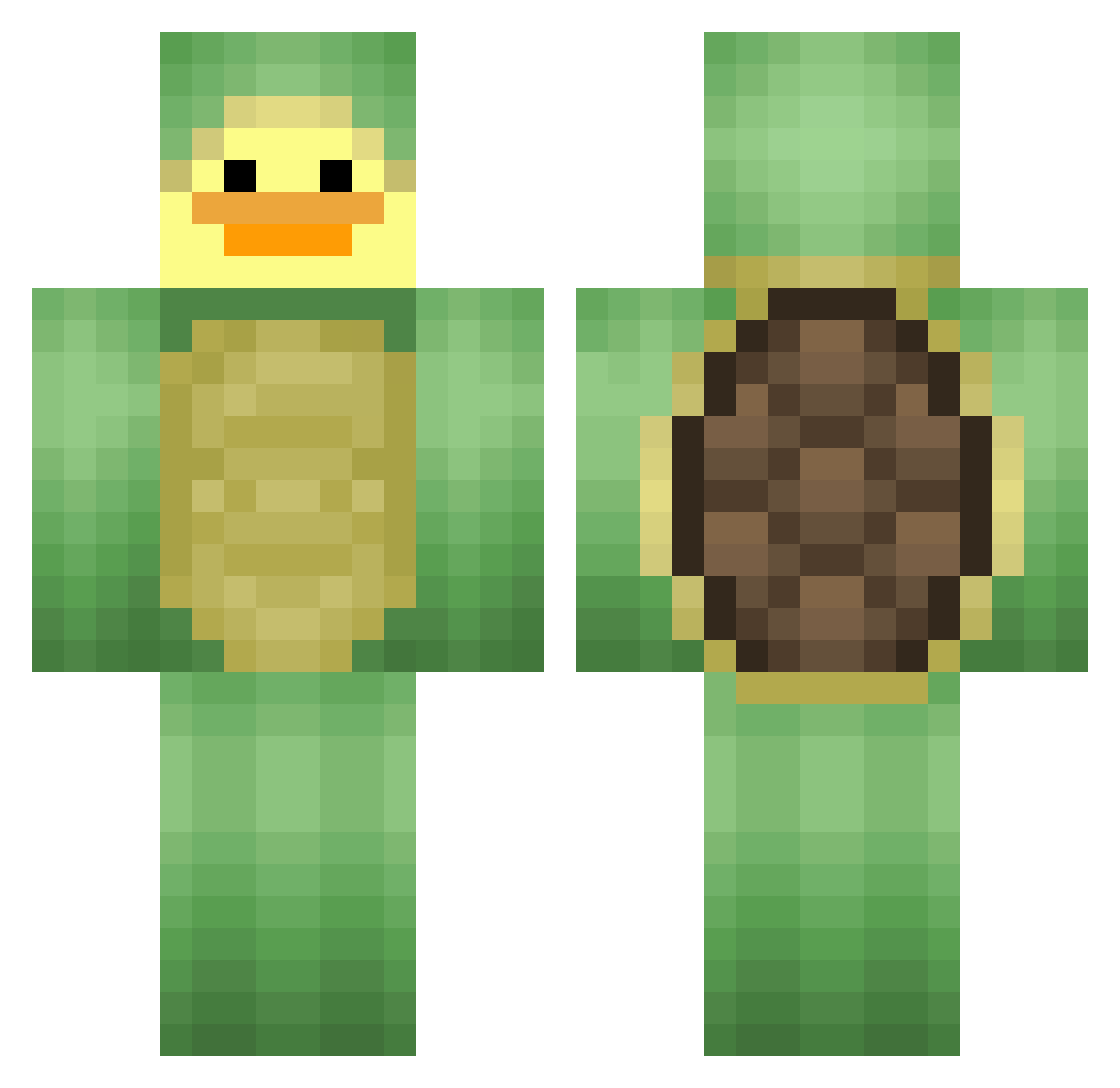 Shelduck Minecraft skin, front and back view