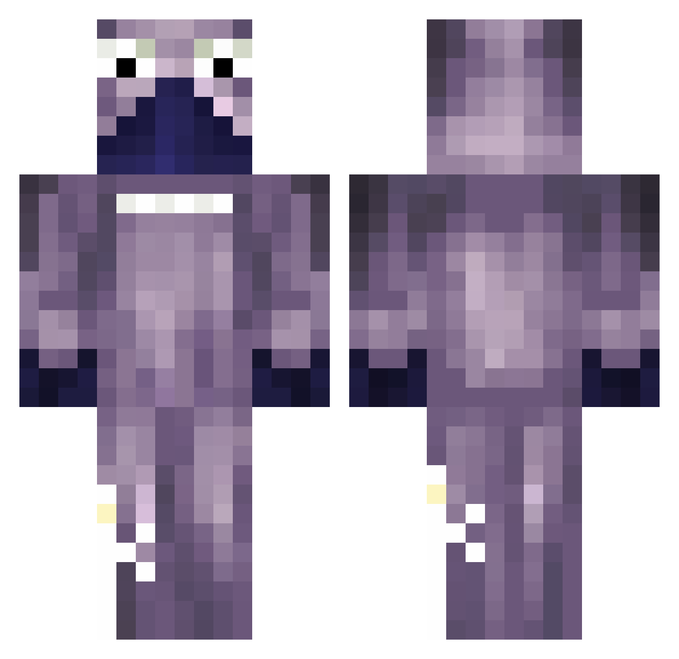 Pollero Minecraft skin, front and back view