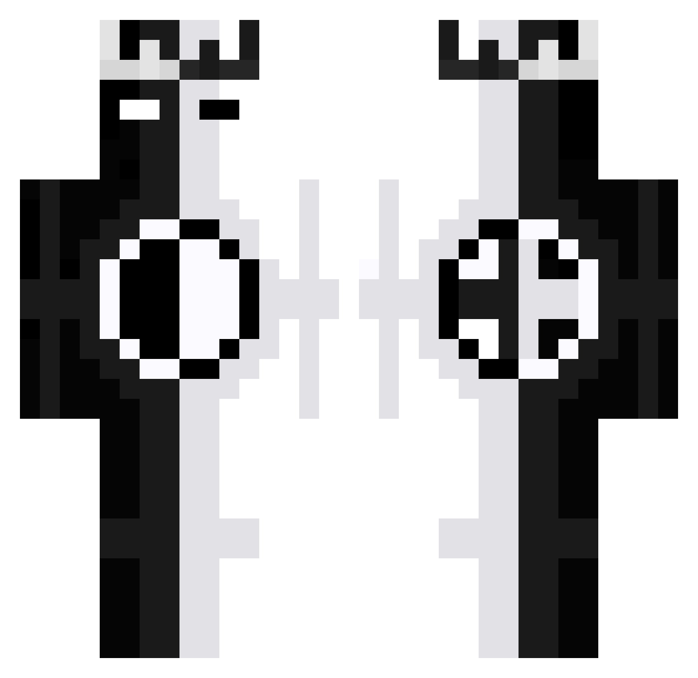 Totango8 Minecraft skin, front and back view