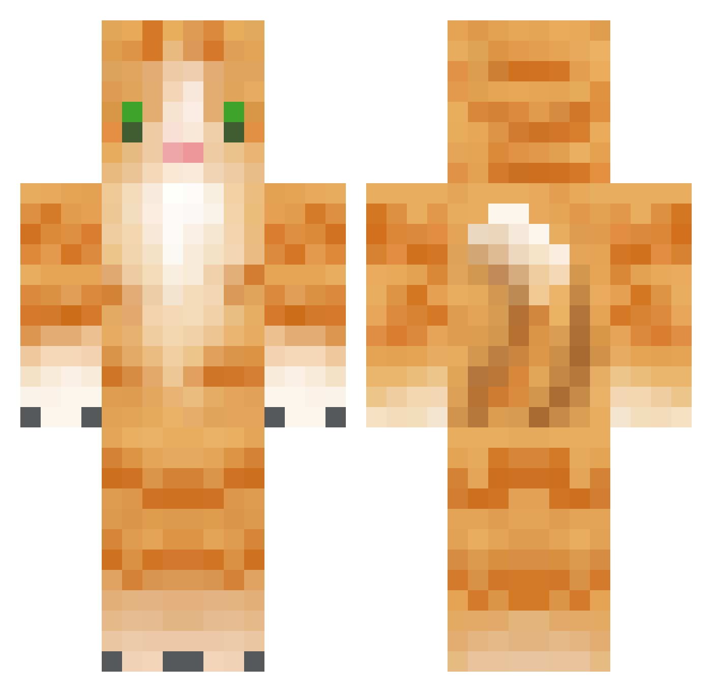 Homecoming Minecraft skin, front and back view