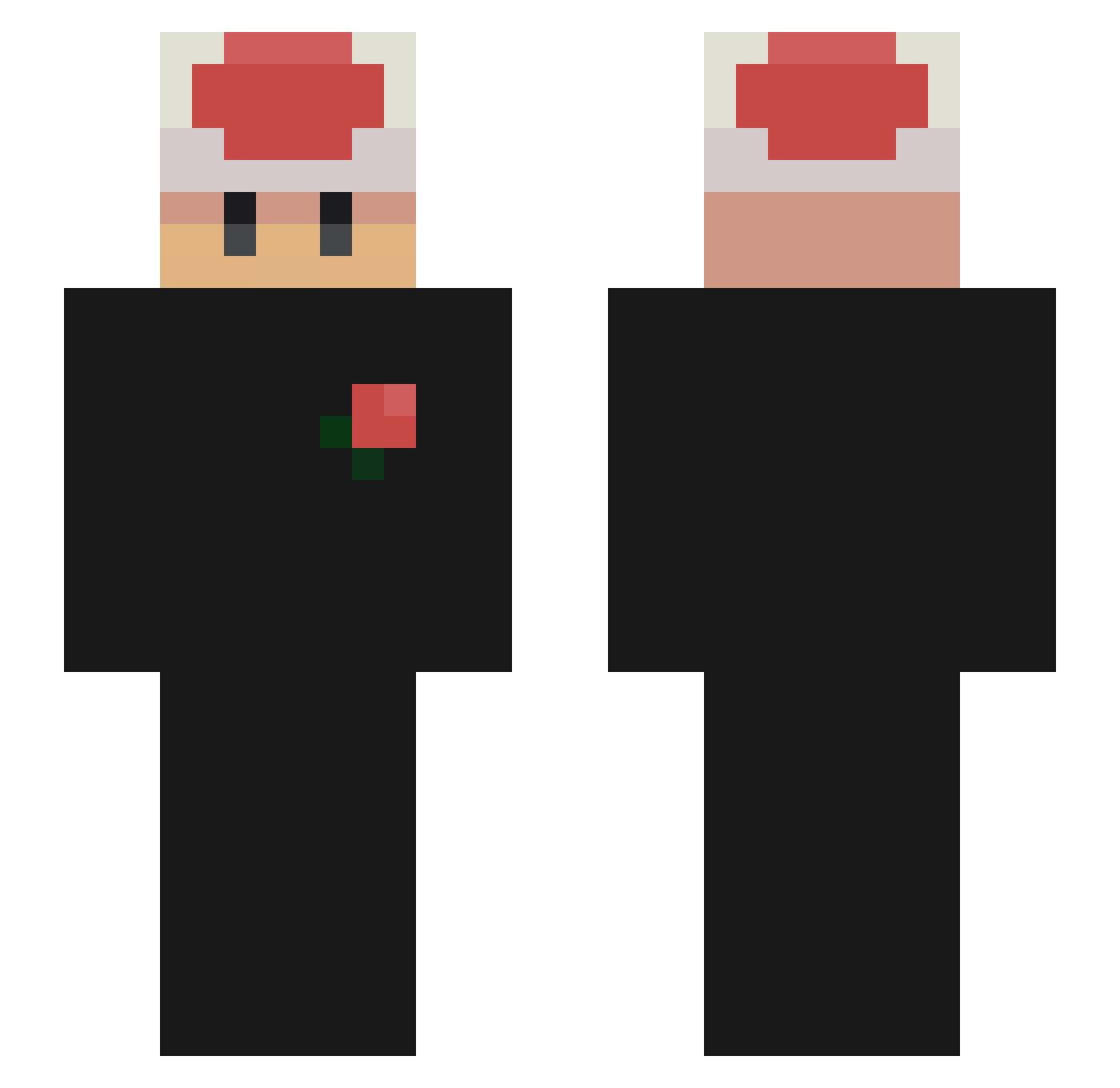 _pan Minecraft skin, front and back view