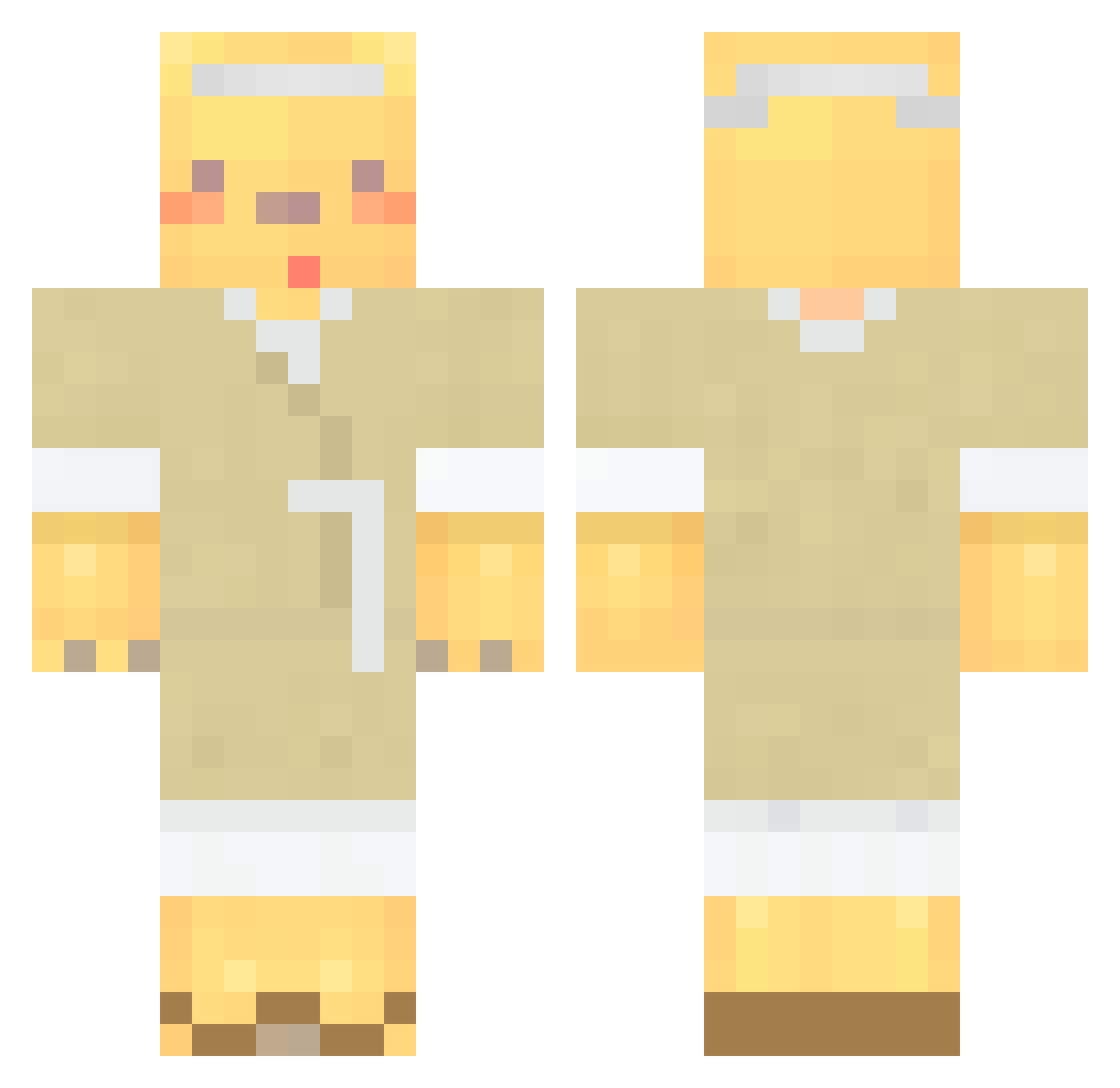 HoinHoin Minecraft skin, front and back view