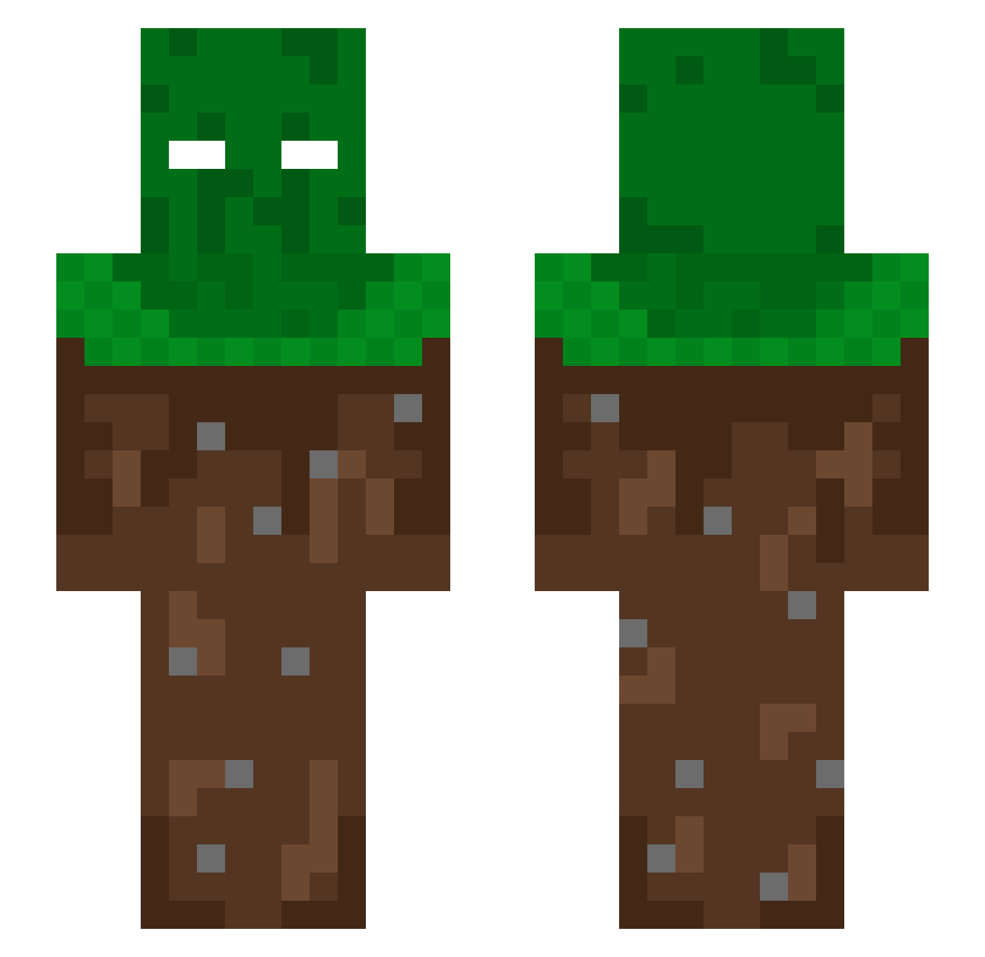 Descried Minecraft skin, front and back view