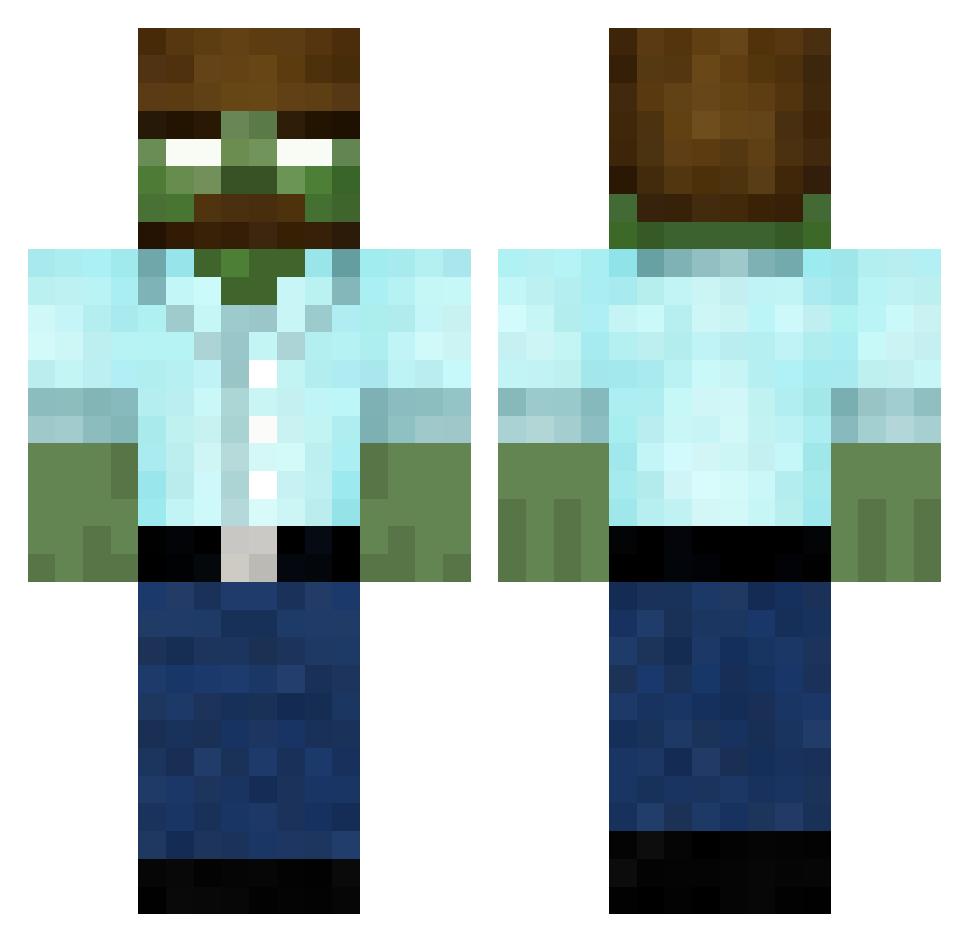 Robyos Minecraft skin, front and back view