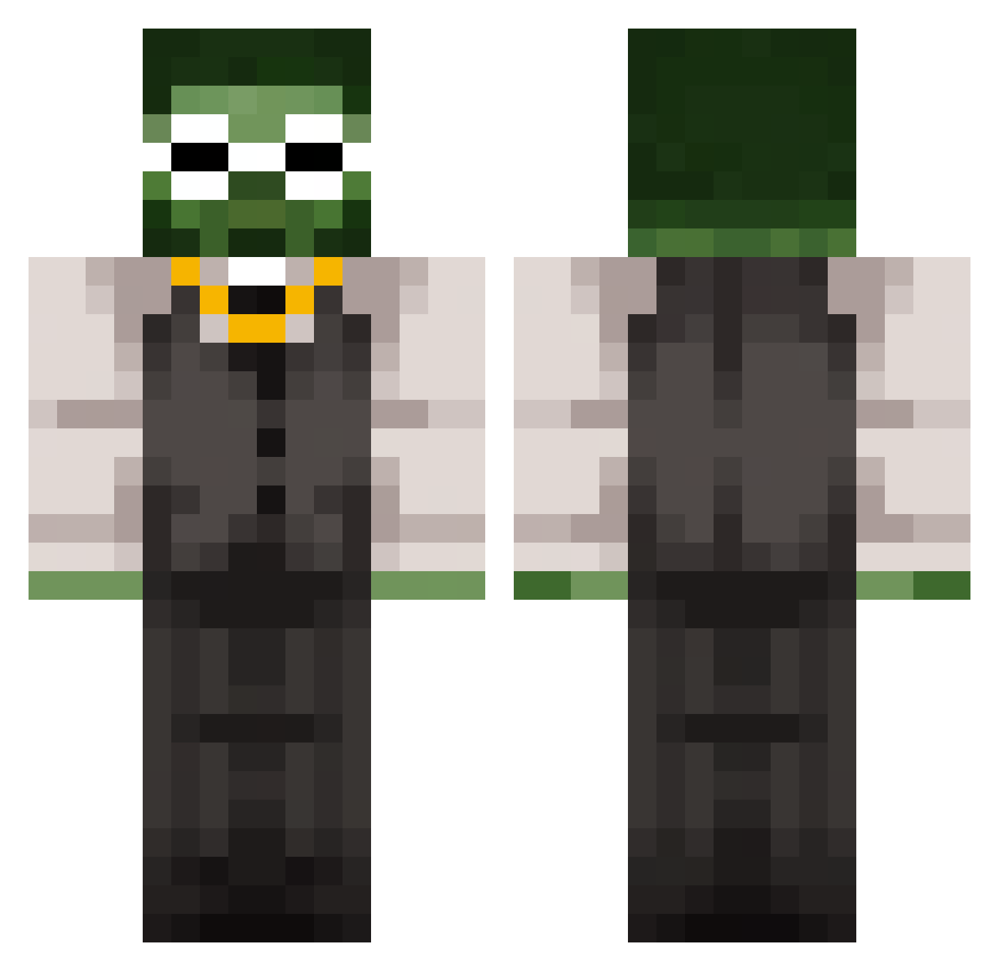 Cat_Craft_ Minecraft skin, front and back view