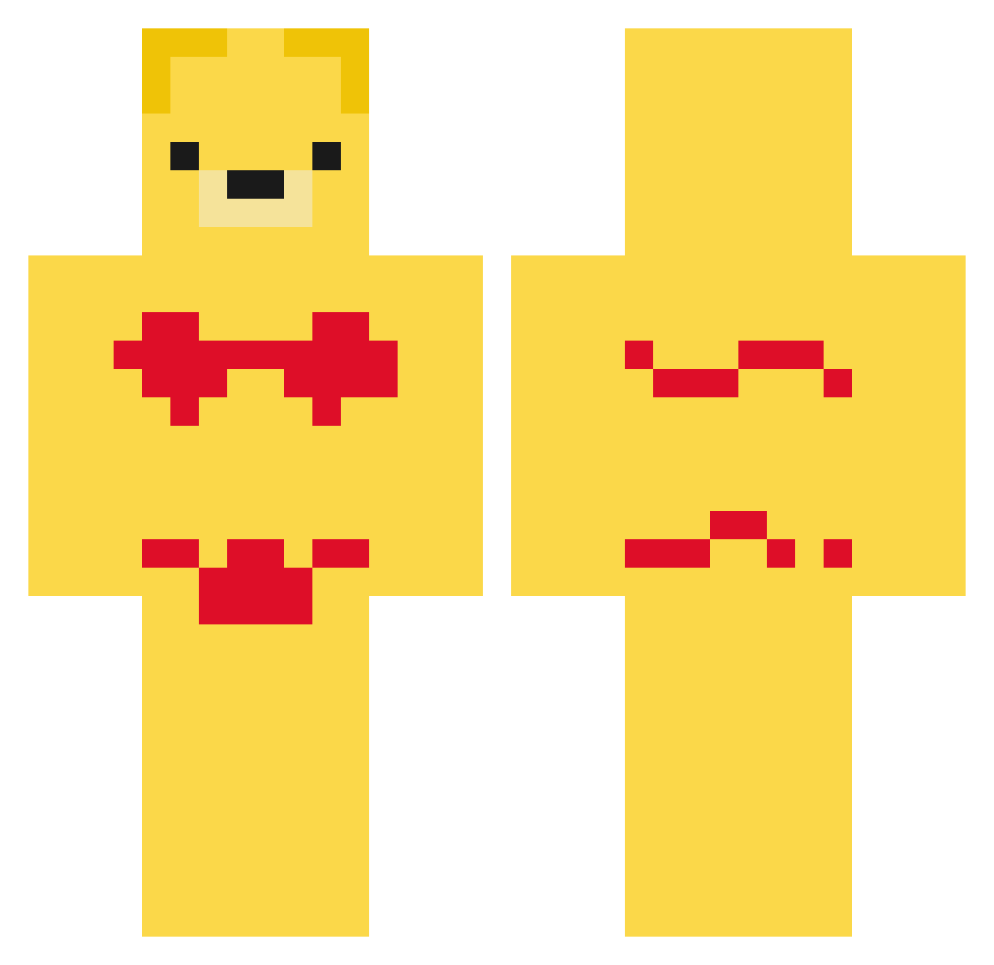 catcakes69 Minecraft skin, front and back view