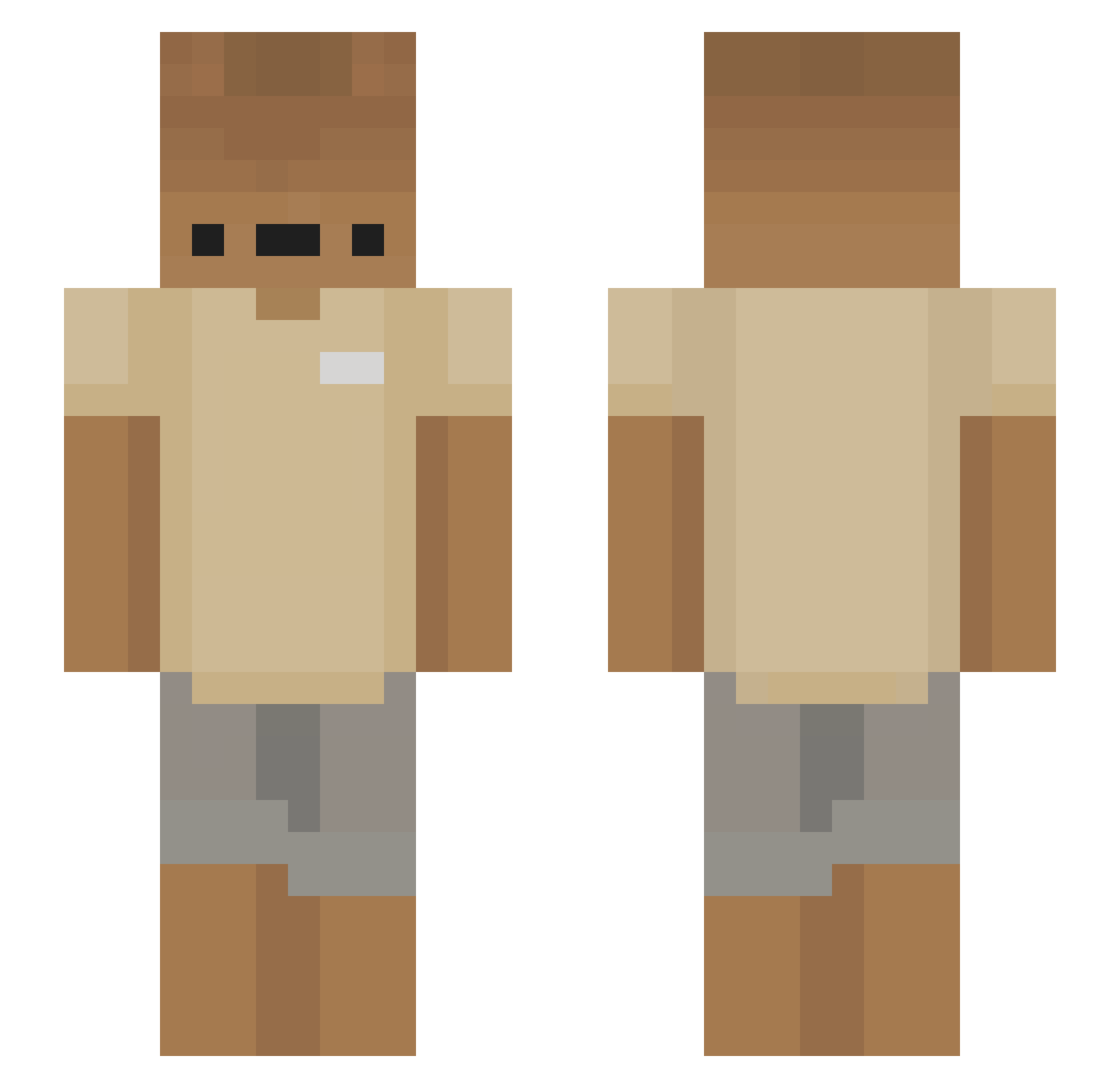 Br2__ Minecraft skin, front and back view