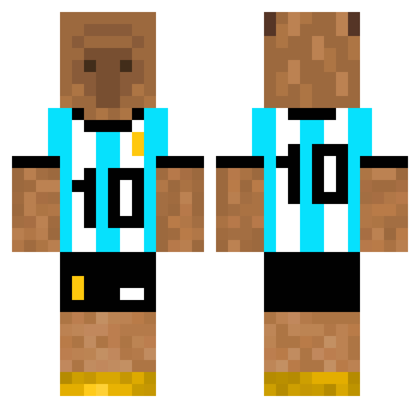 Jaidz Minecraft skin, front and back view