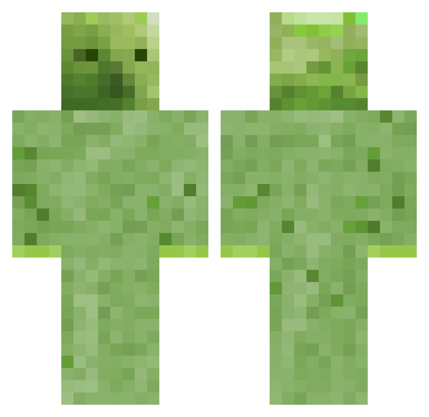 Qiellor Minecraft skin, front and back view