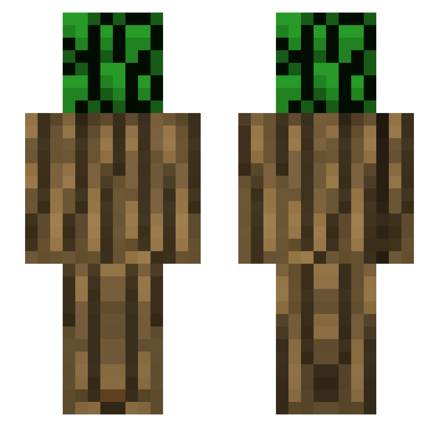 ZippyMold300630 Minecraft skin, front and back view