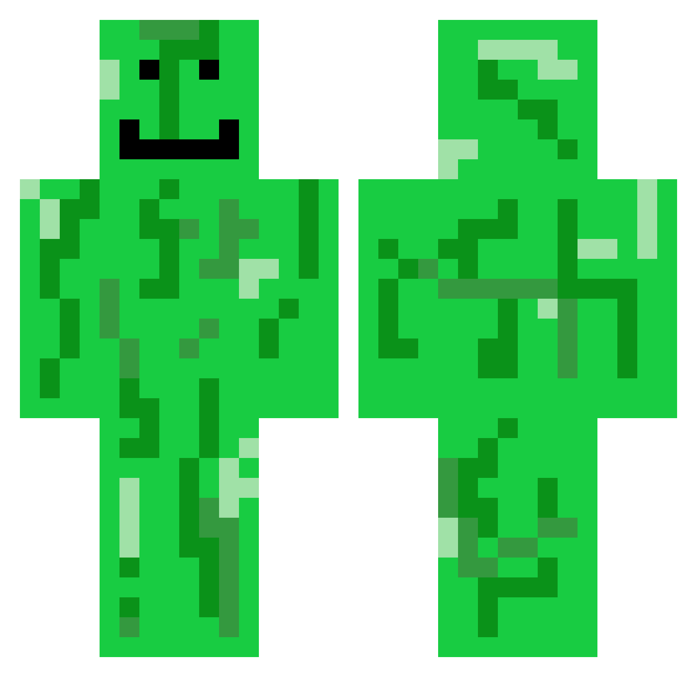 ThePickleLord1 Minecraft skin, front and back view