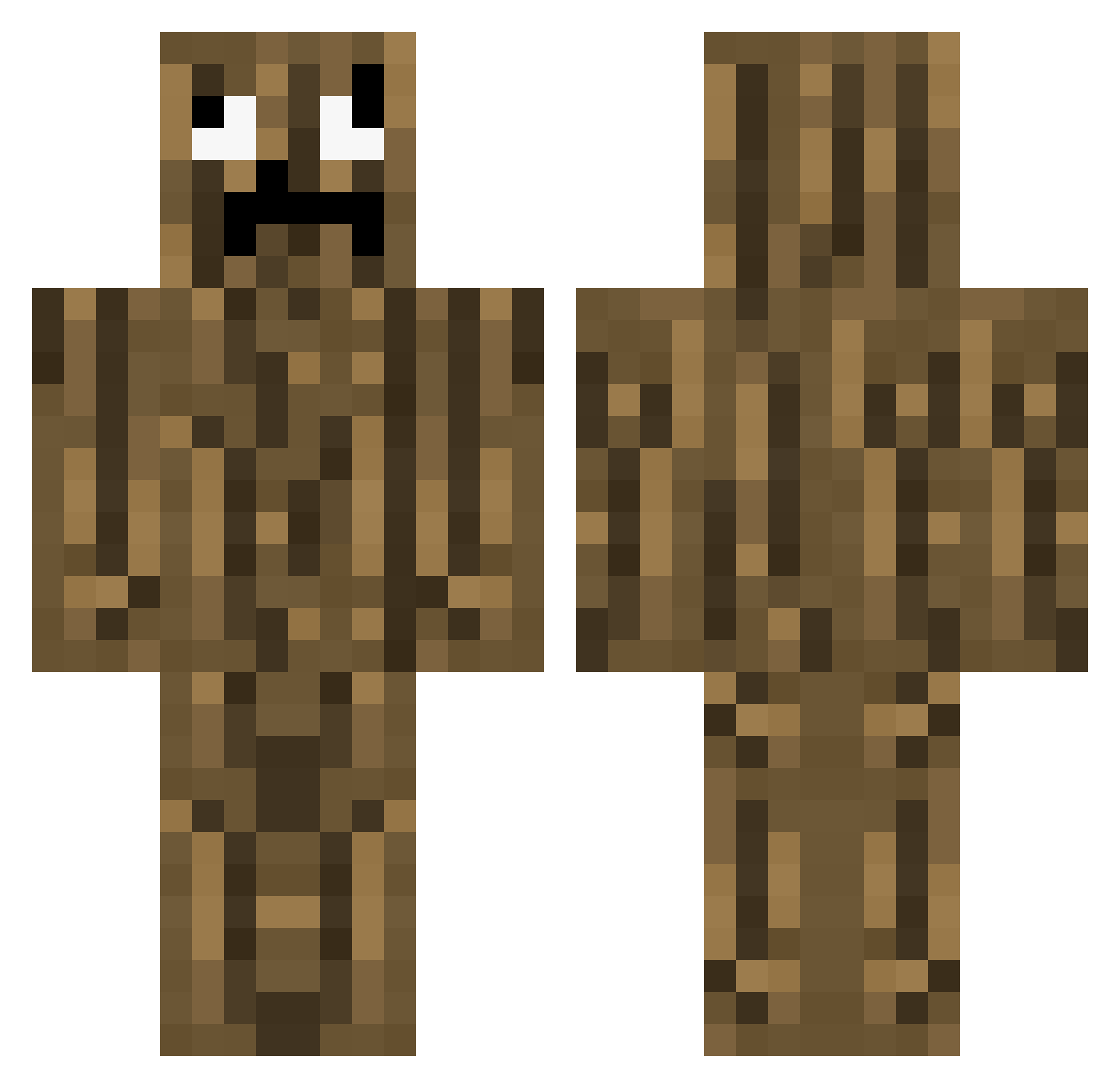 Verecson Minecraft skin, front and back view
