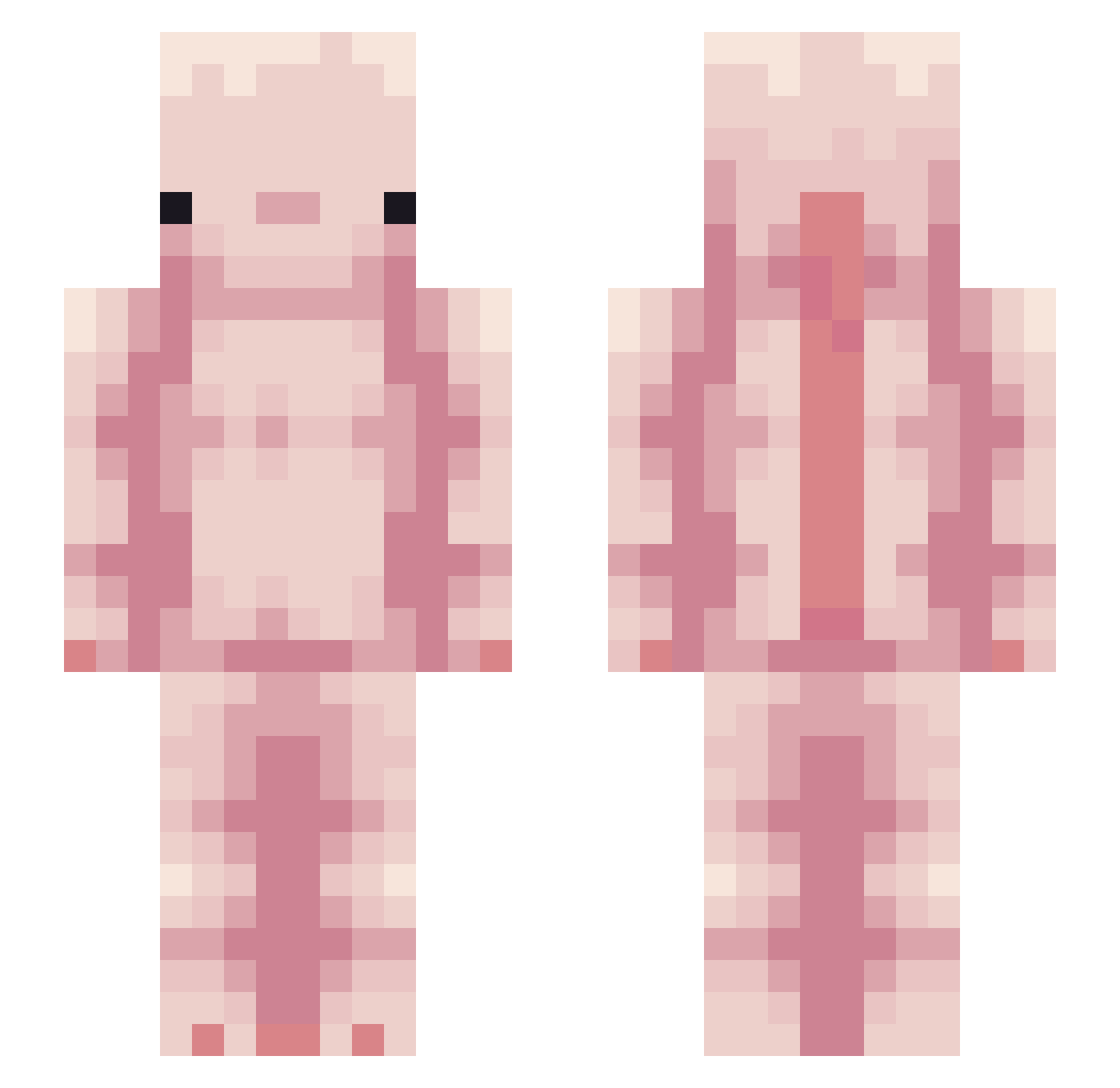 buddyswrites Minecraft skin, front and back view