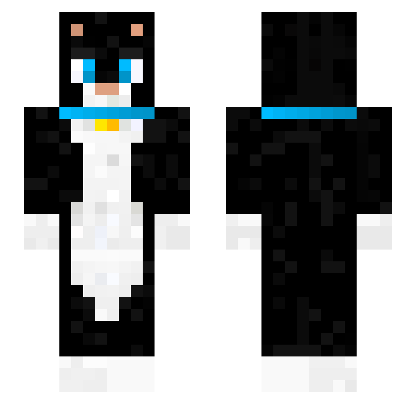 Vibrissae Minecraft skin, front and back view