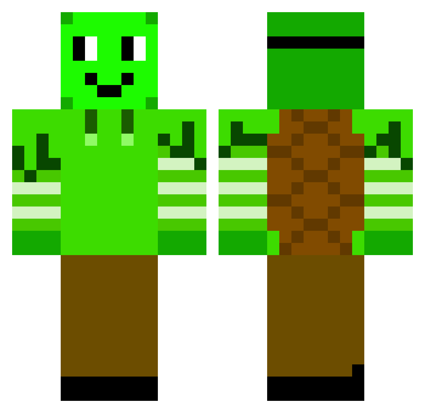 HTturtles Minecraft skin, front and back view