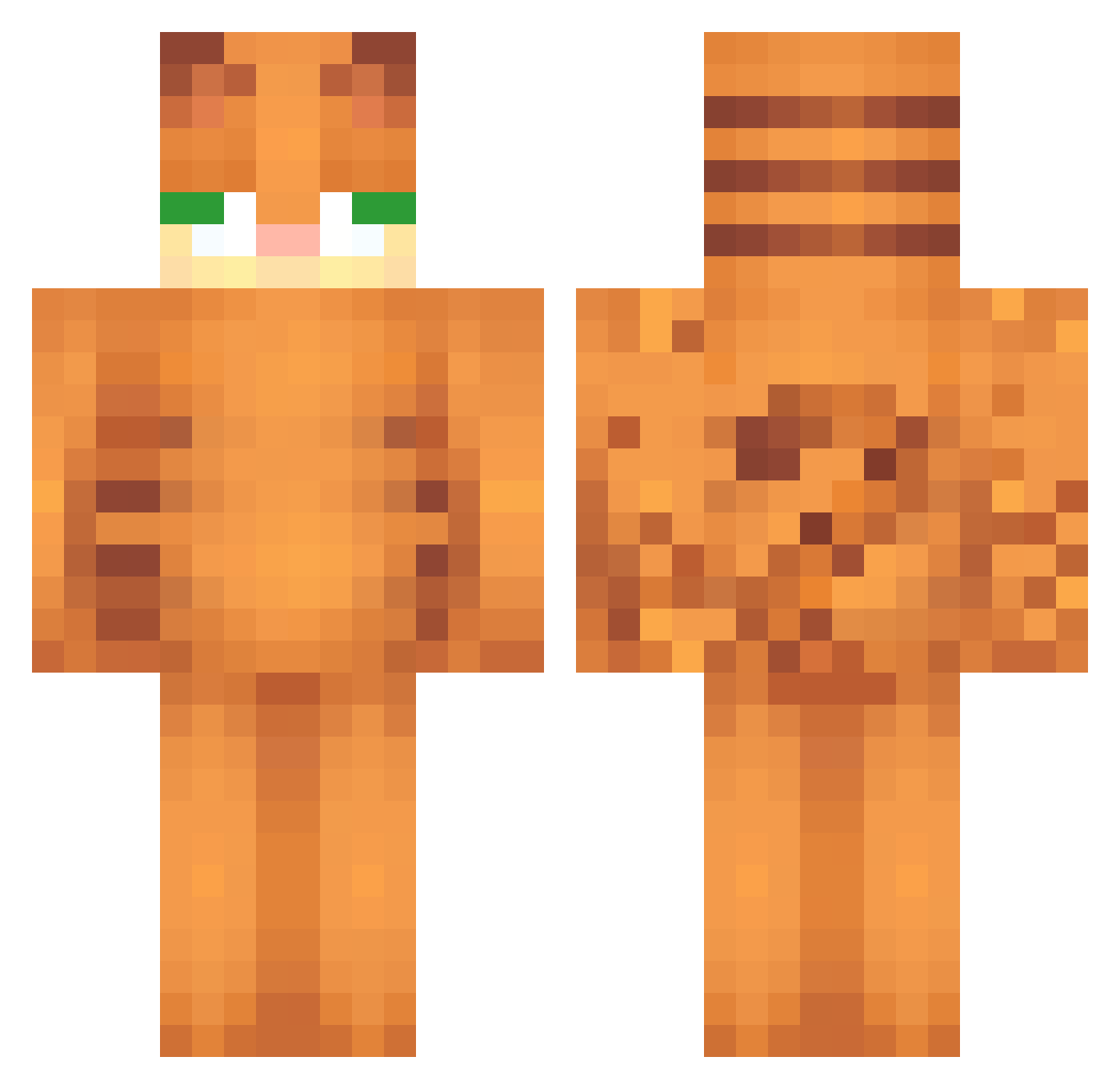 ZGerhard Minecraft skin, front and back view