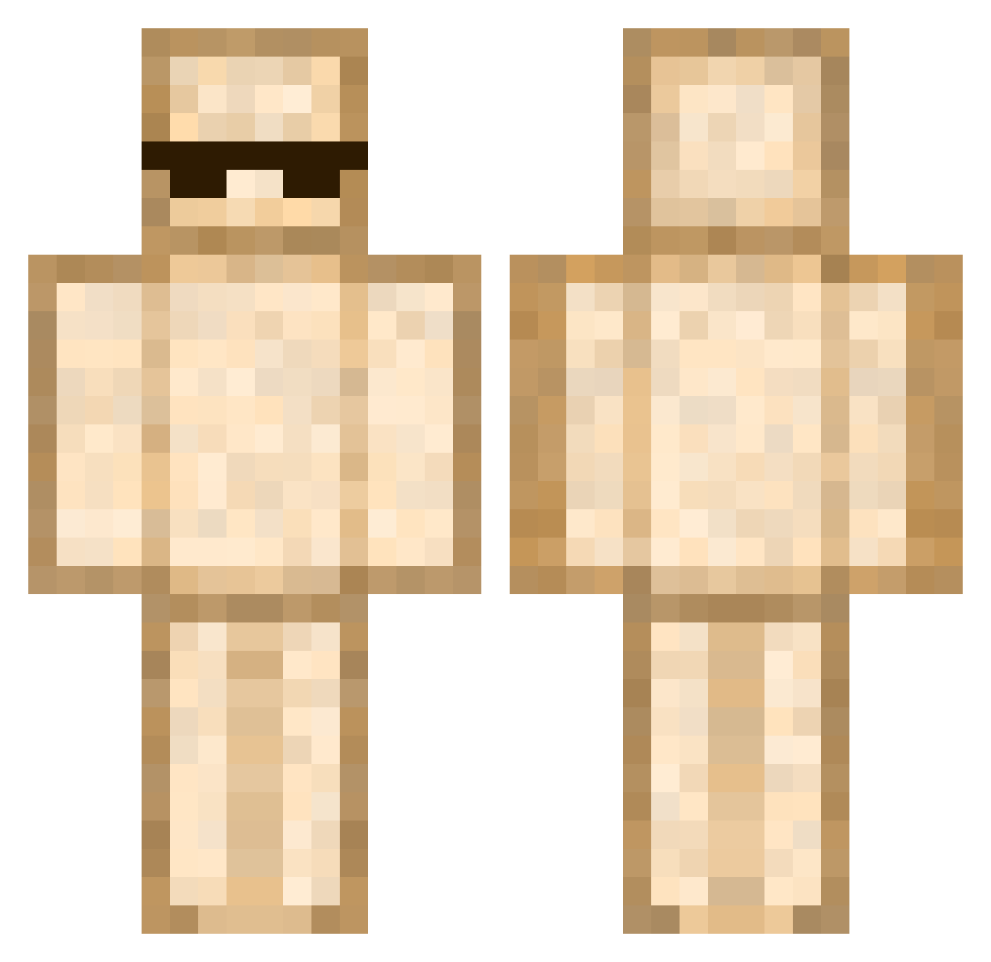 silllygoosee Minecraft skin, front and back view