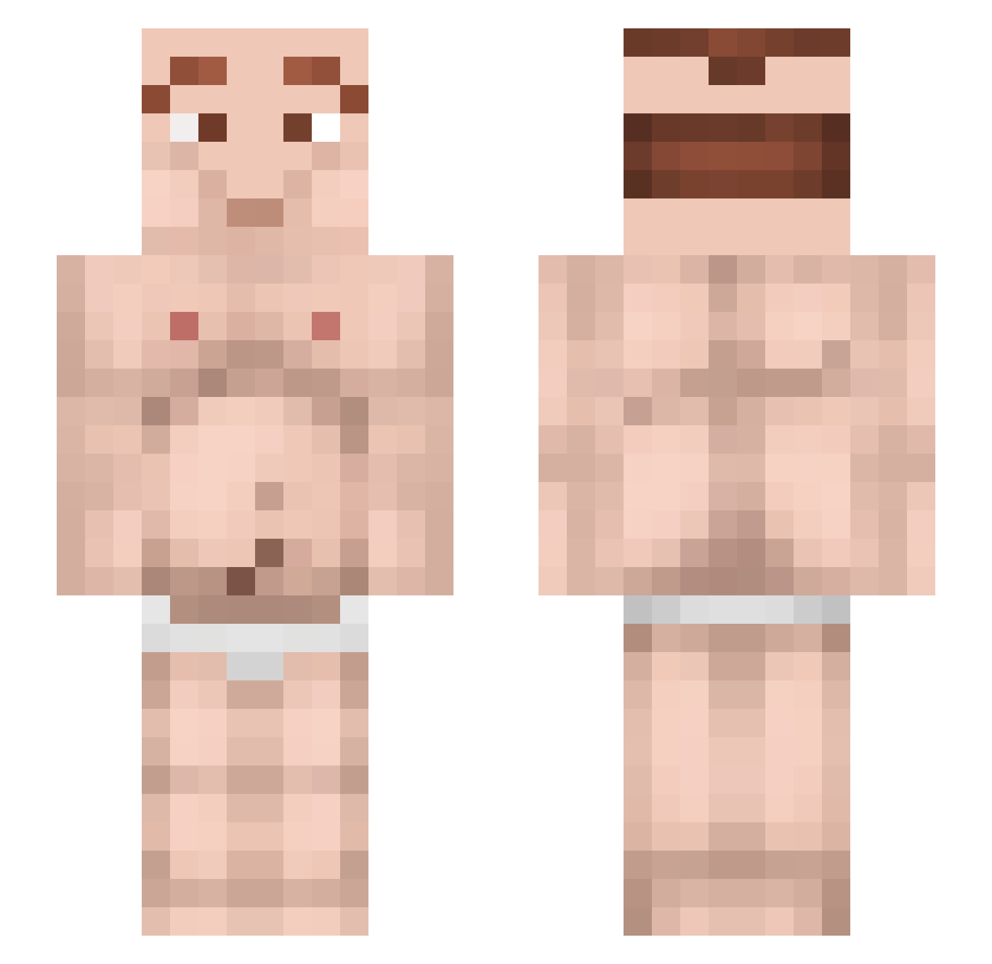 coauthor Minecraft skin, front and back view