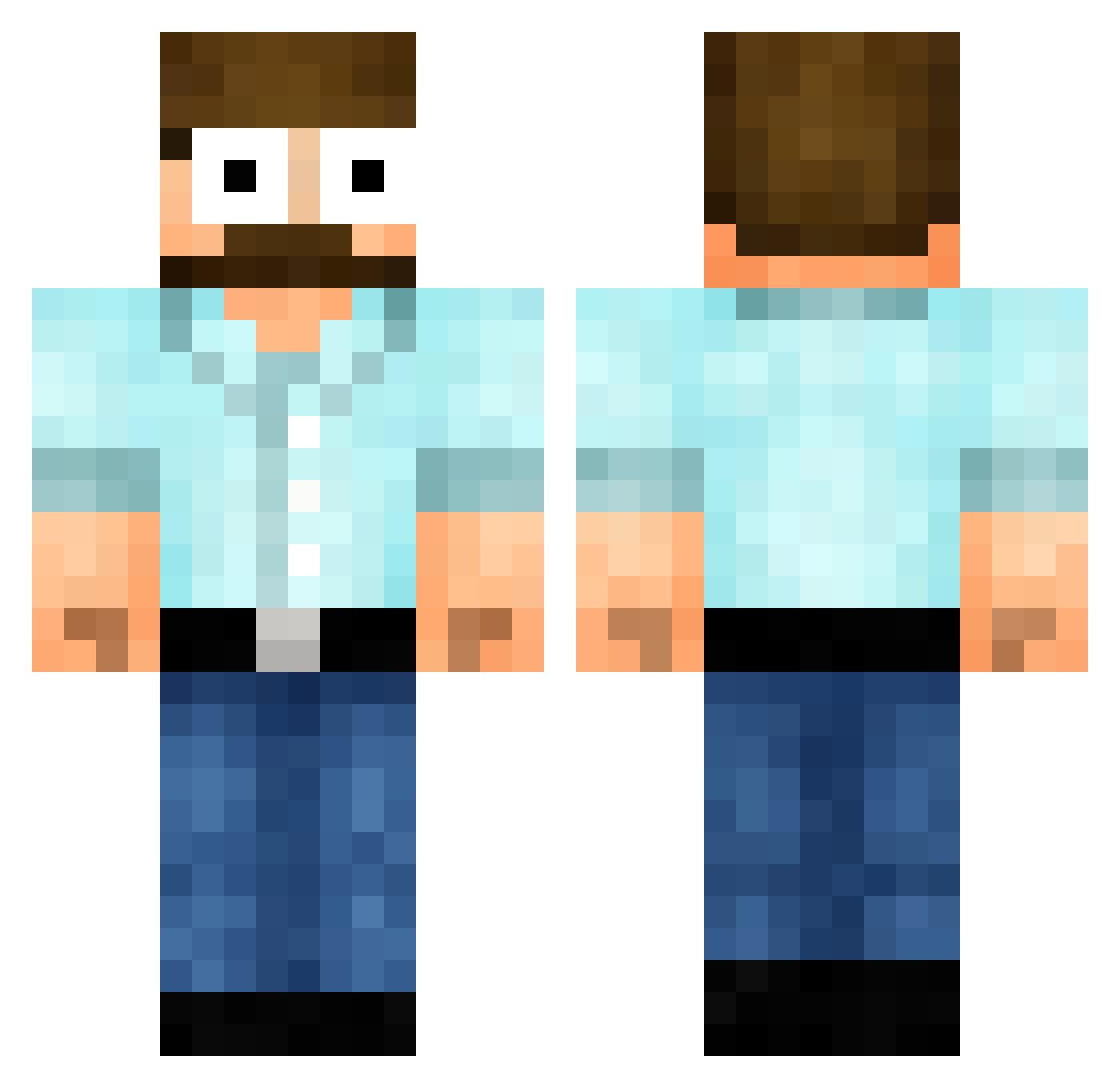 Steam Minecraft skin, front and back view