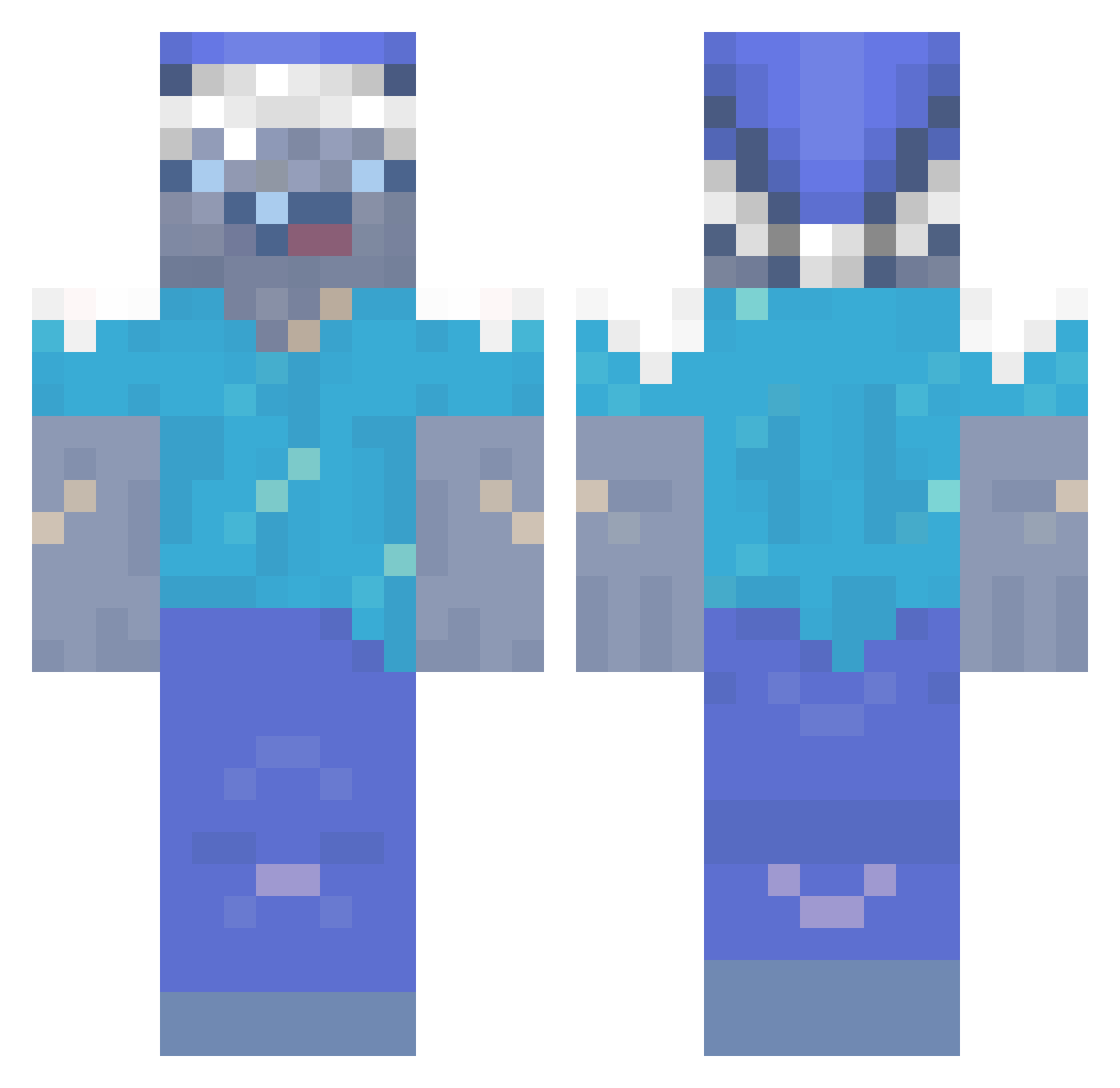 ASnowGoose Minecraft skin, front and back view