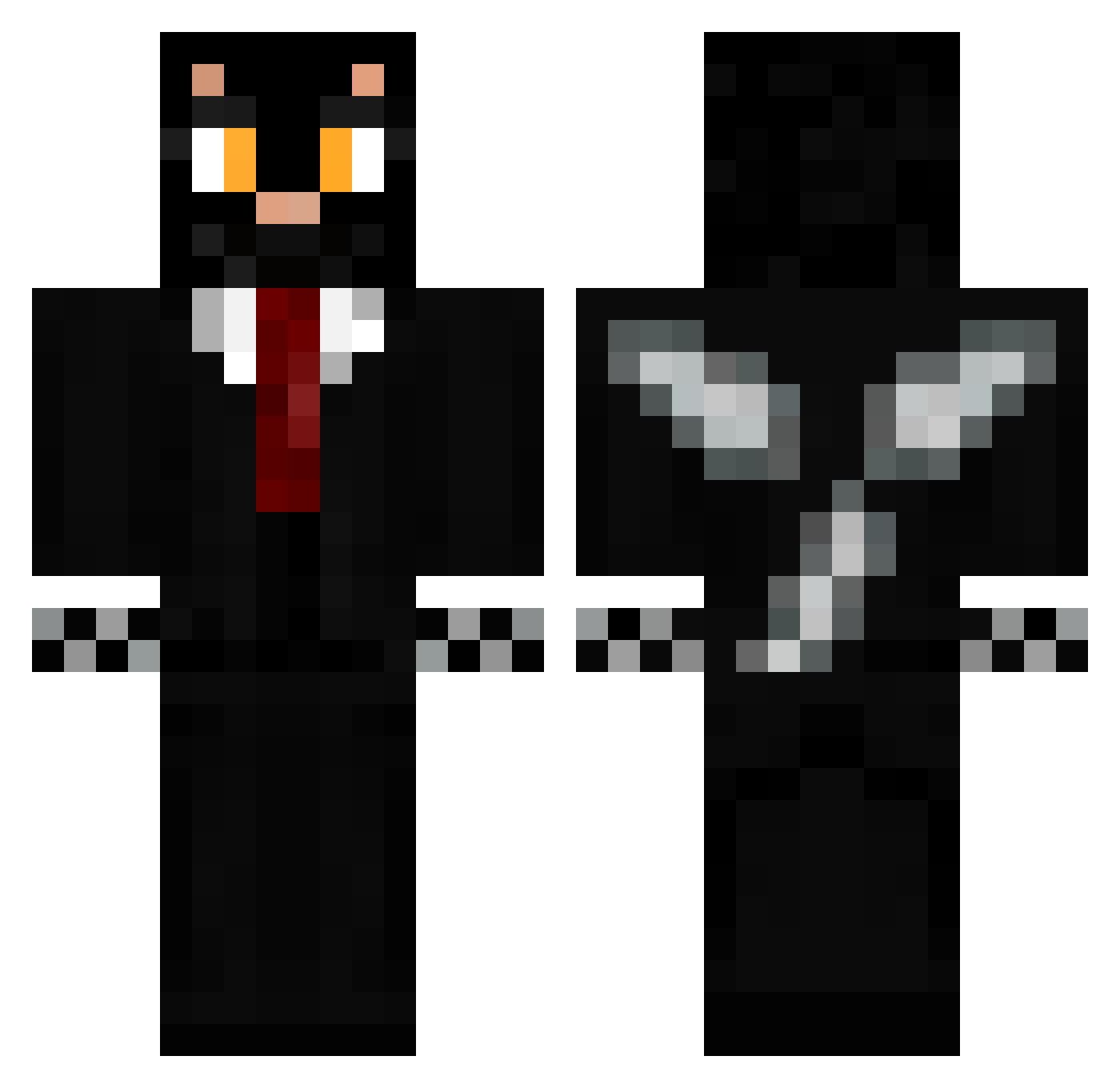 WhatTheCatDoing Minecraft skin, front and back view