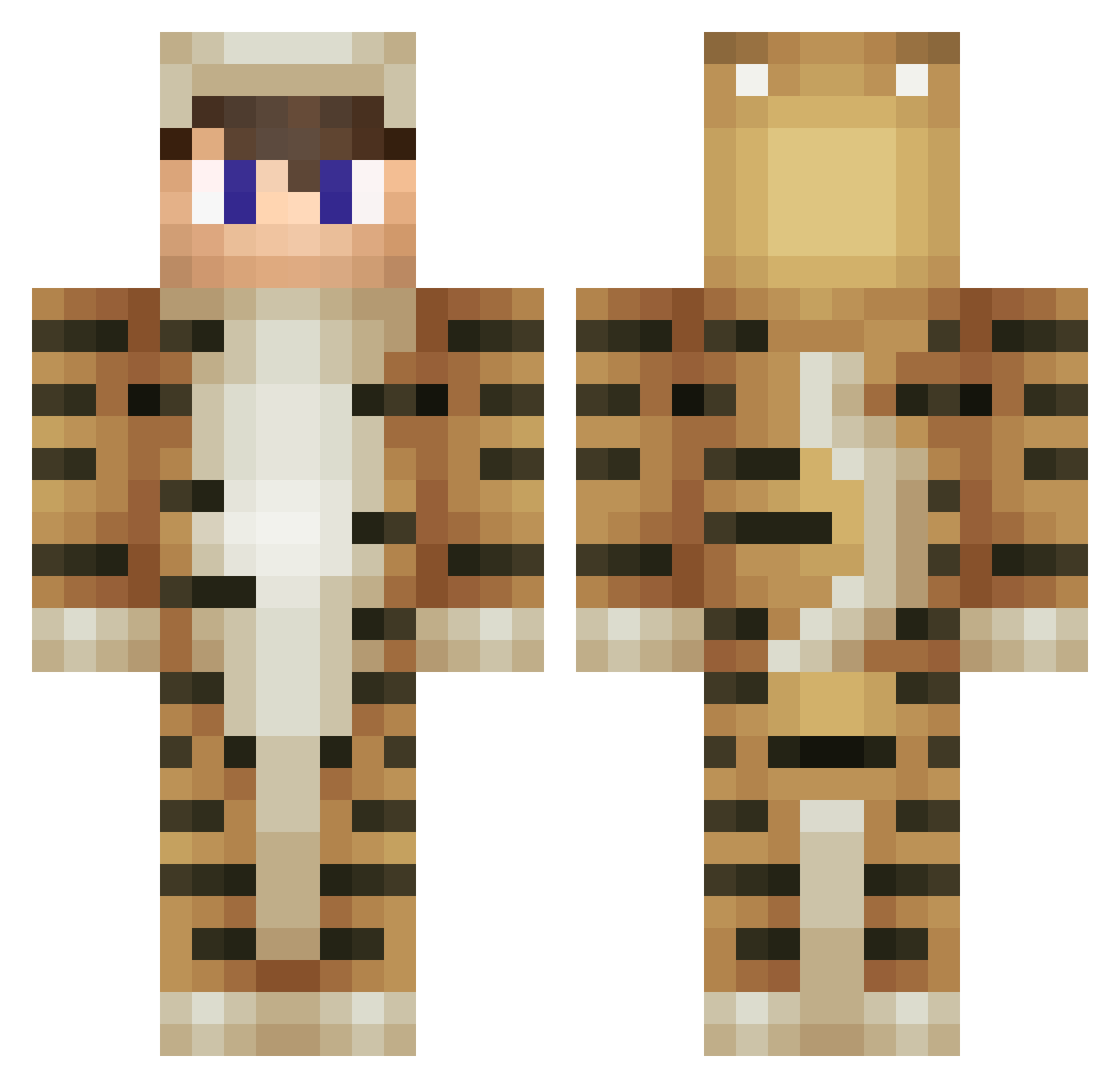 Advecting Minecraft skin, front and back view