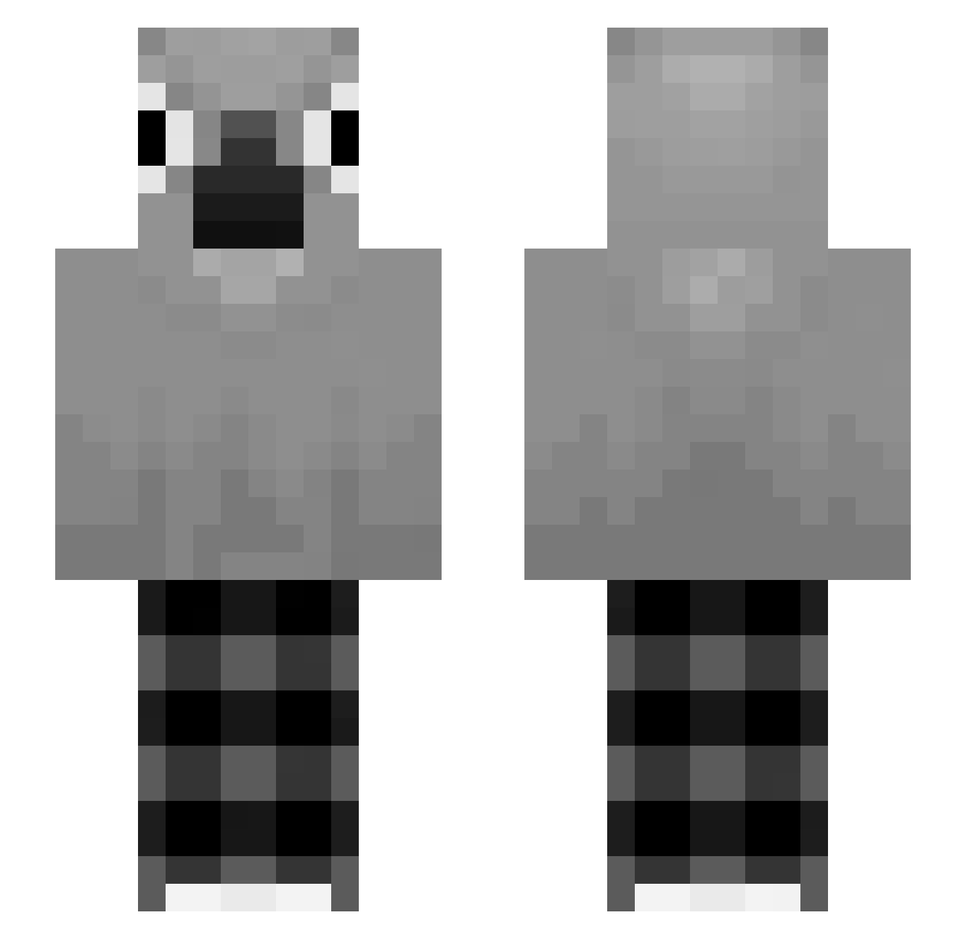 BiirdBrain Minecraft skin, front and back view