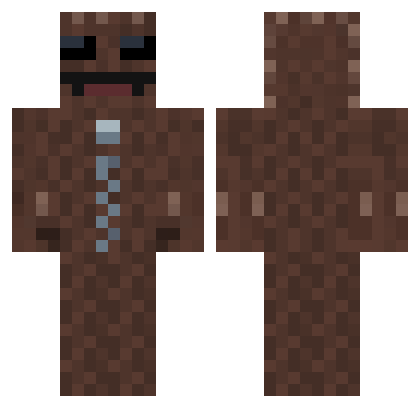 SaltySqal Minecraft skin, front and back view