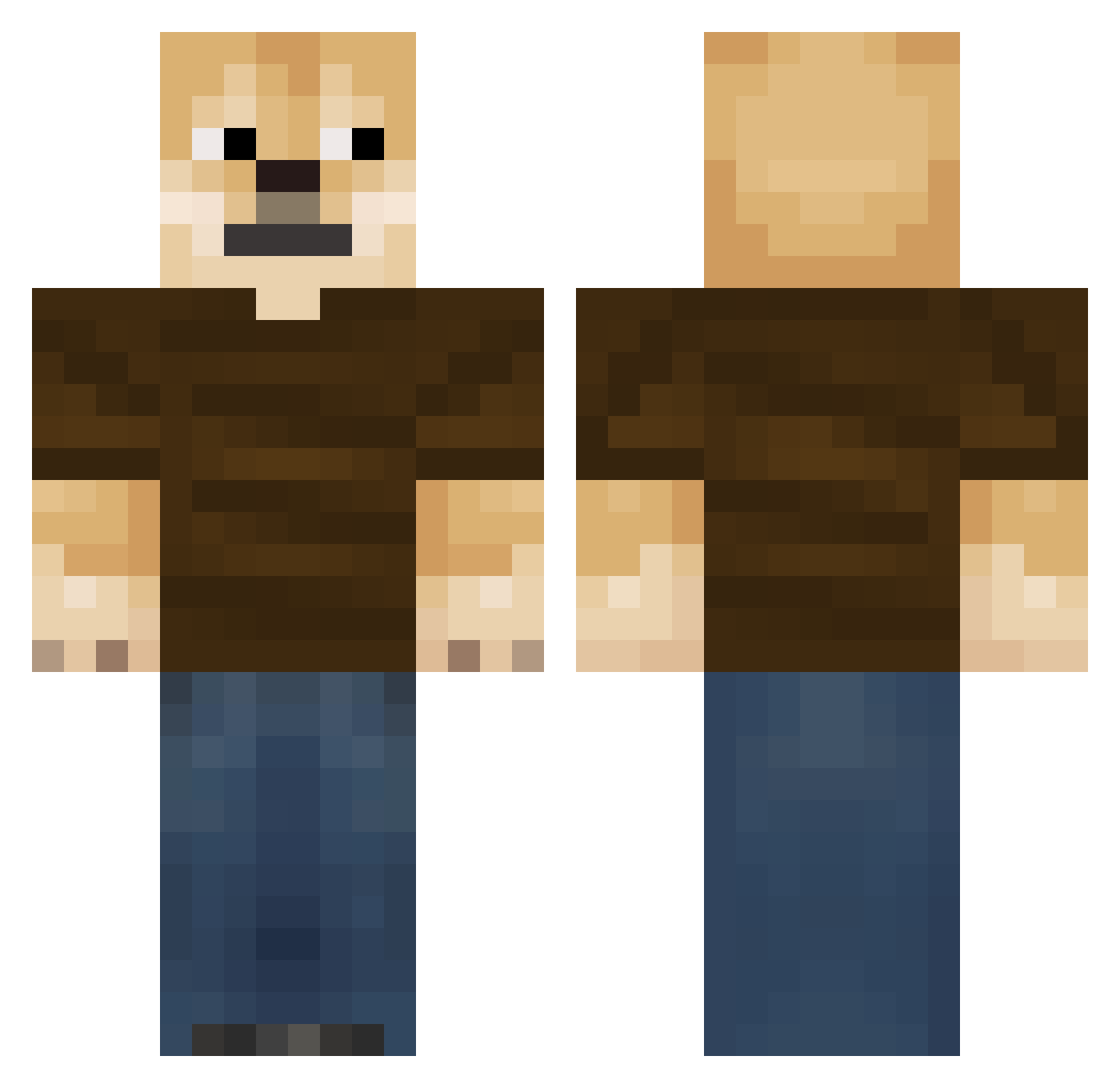 Ravenwoow Minecraft skin, front and back view