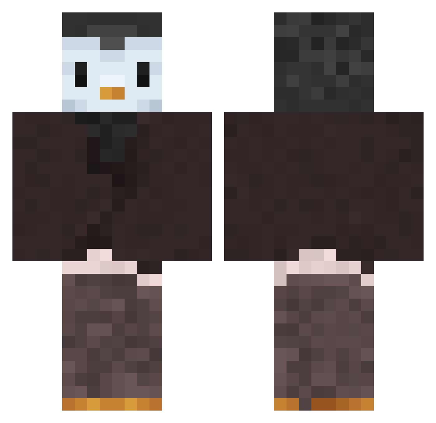 proffessorpengu Minecraft skin, front and back view