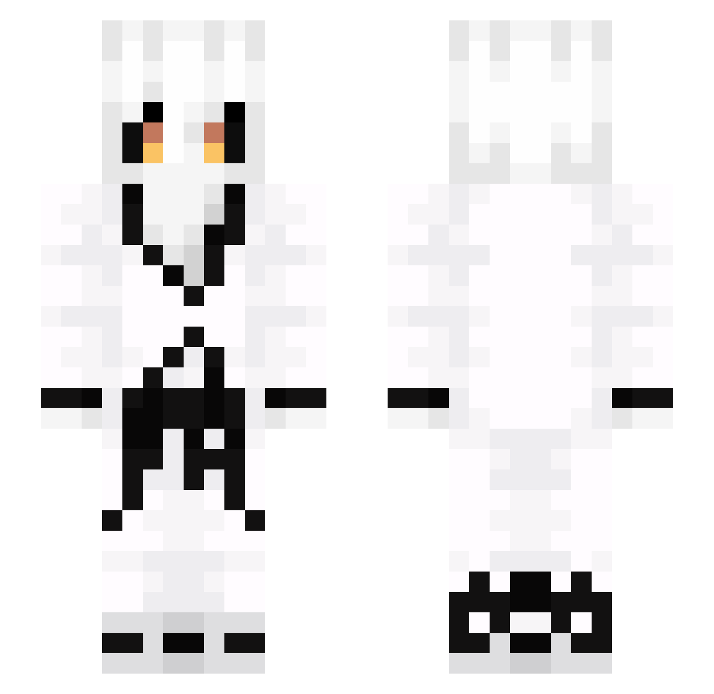 wojtek00_ Minecraft skin, front and back view