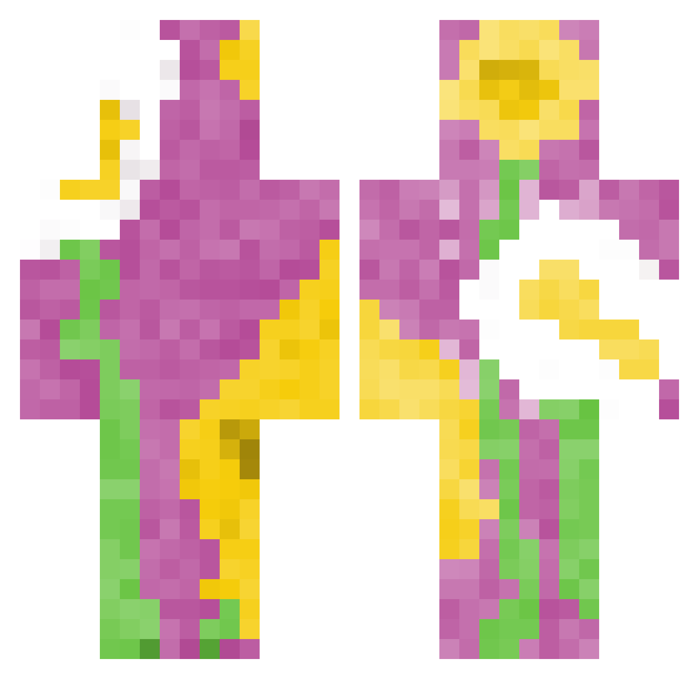 vippo Minecraft skin, front and back view