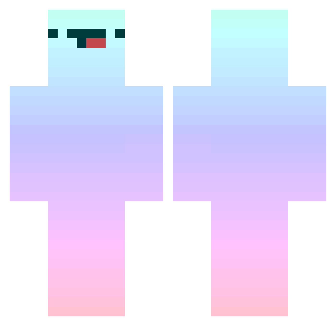 V0rtexz Minecraft skin, front and back view