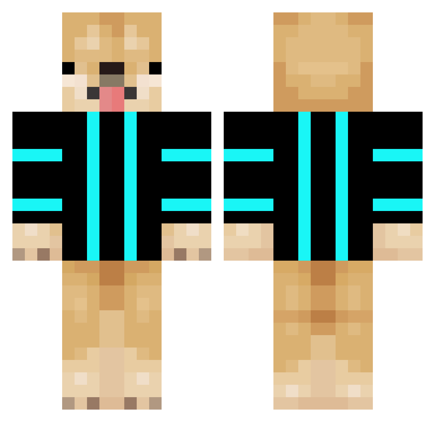 Tatisboy11 Minecraft skin, front and back view