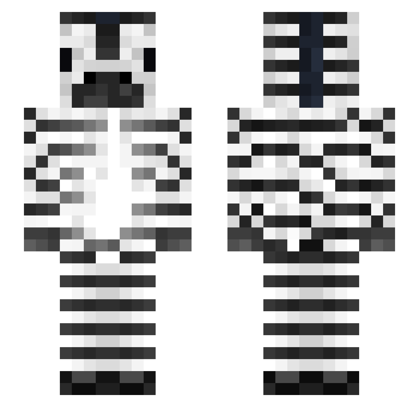 Zebras Minecraft skin, front and back view