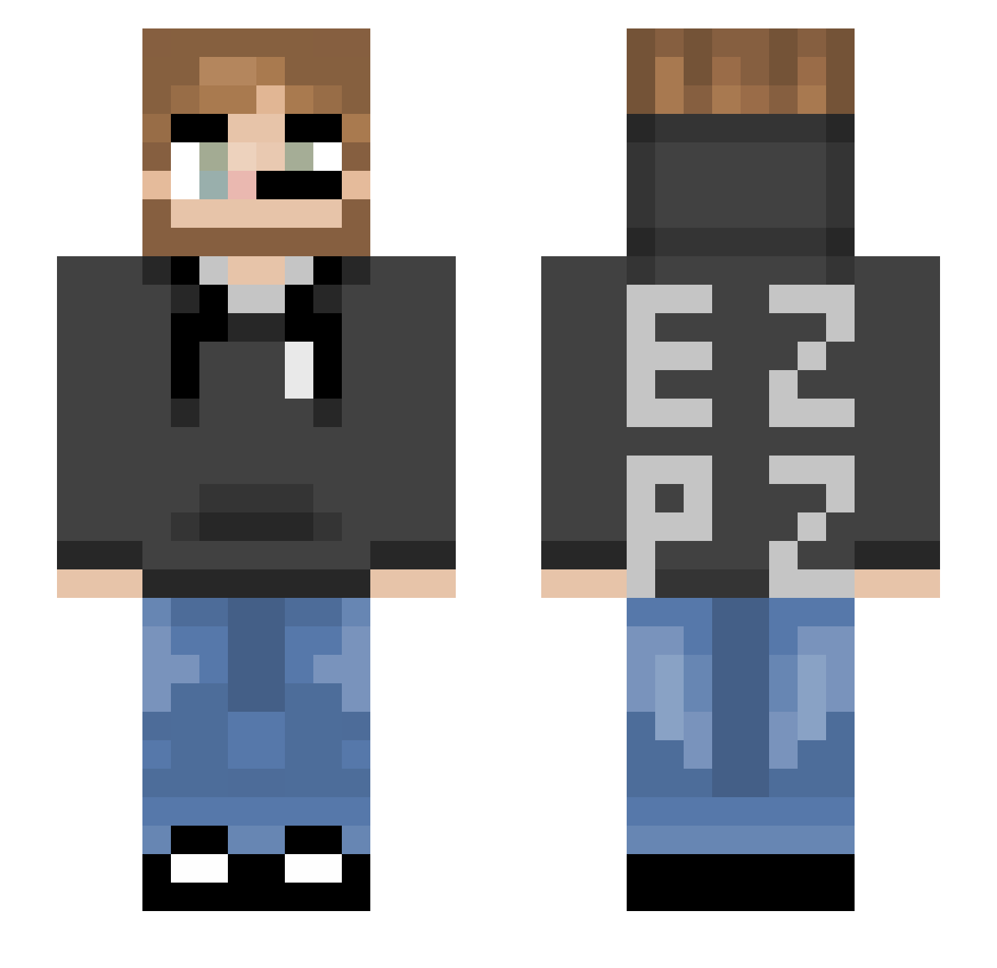 Tetrapolar Minecraft skin, front and back view
