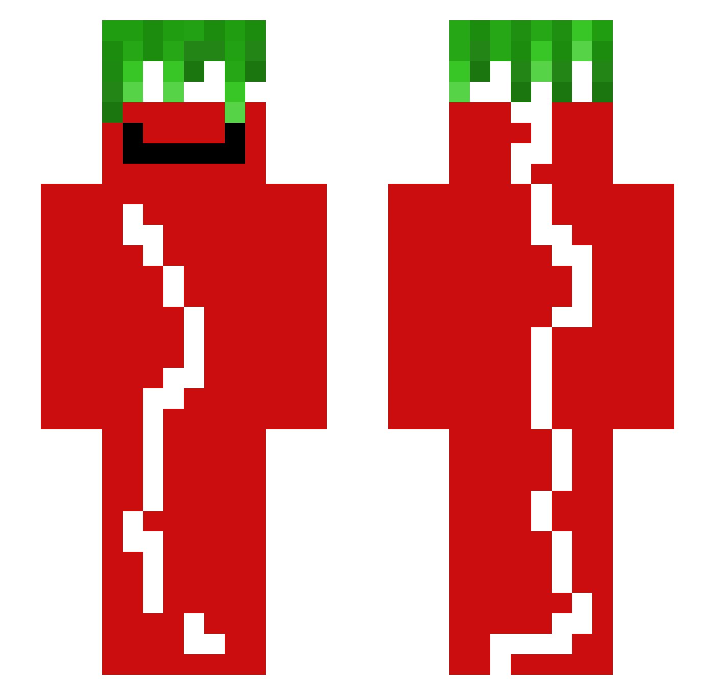 TomatoTr Minecraft skin, front and back view