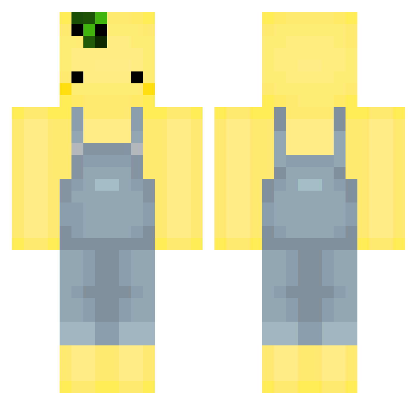 Lilloper Minecraft skin, front and back view