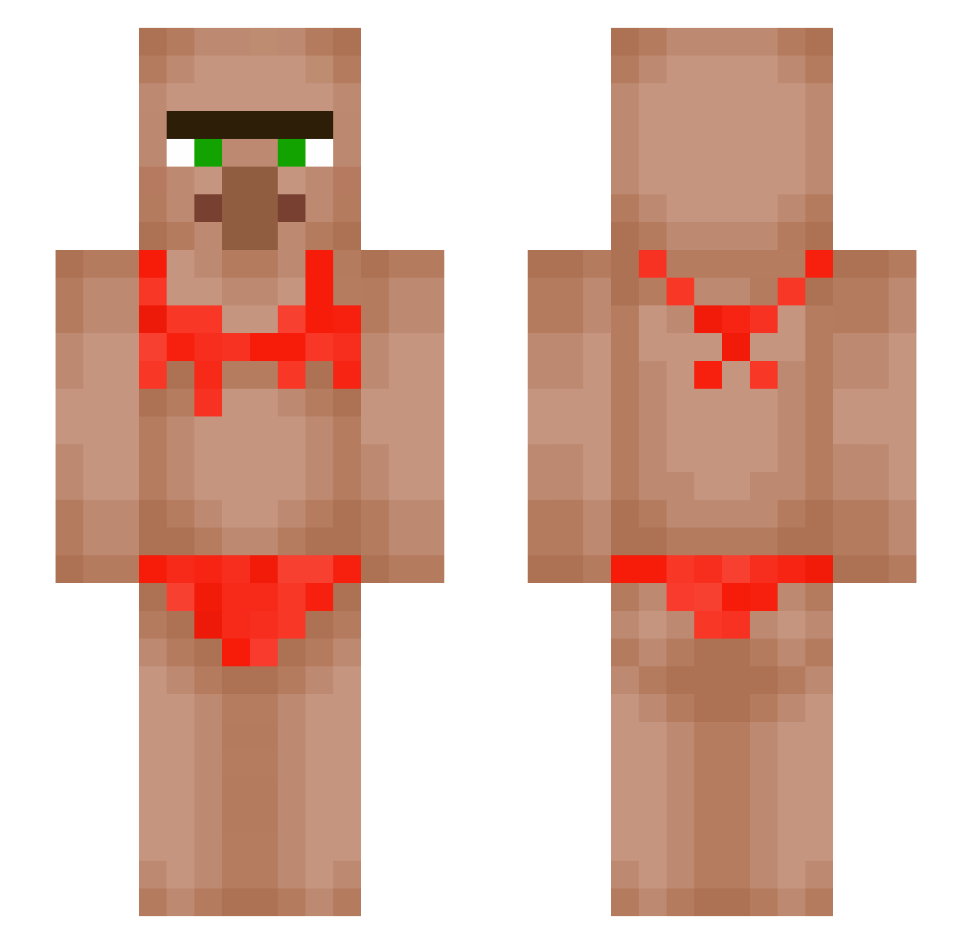 Rictic09 Minecraft skin, front and back view