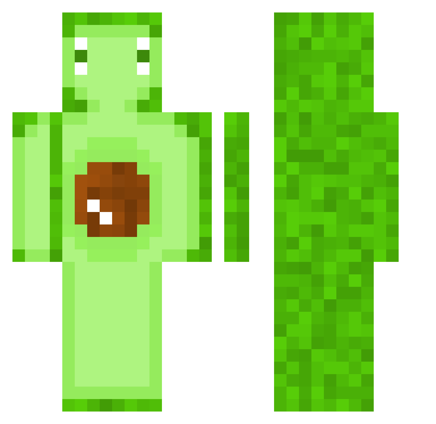 D4nielson Minecraft skin, front and back view