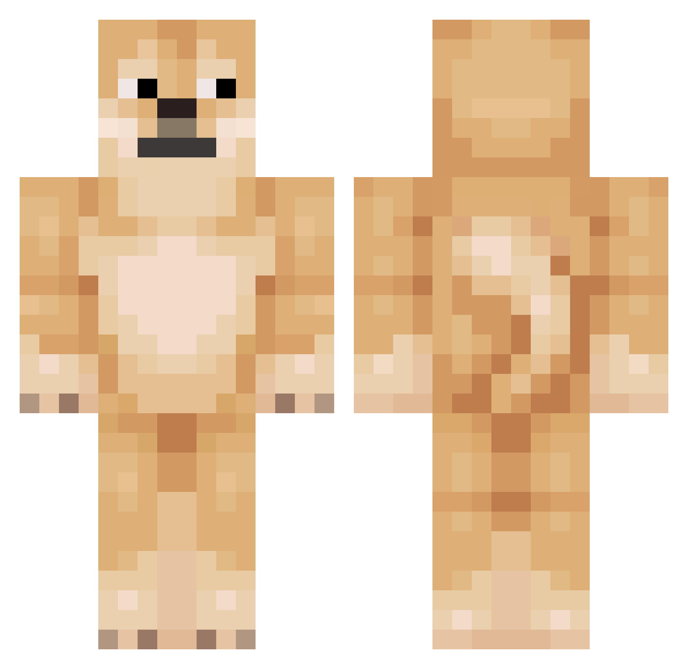 xiSucc Minecraft skin, front and back view