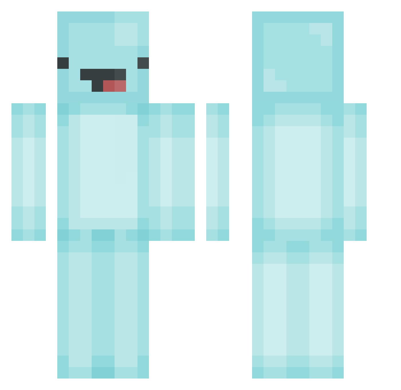 triduck Minecraft skin, front and back view