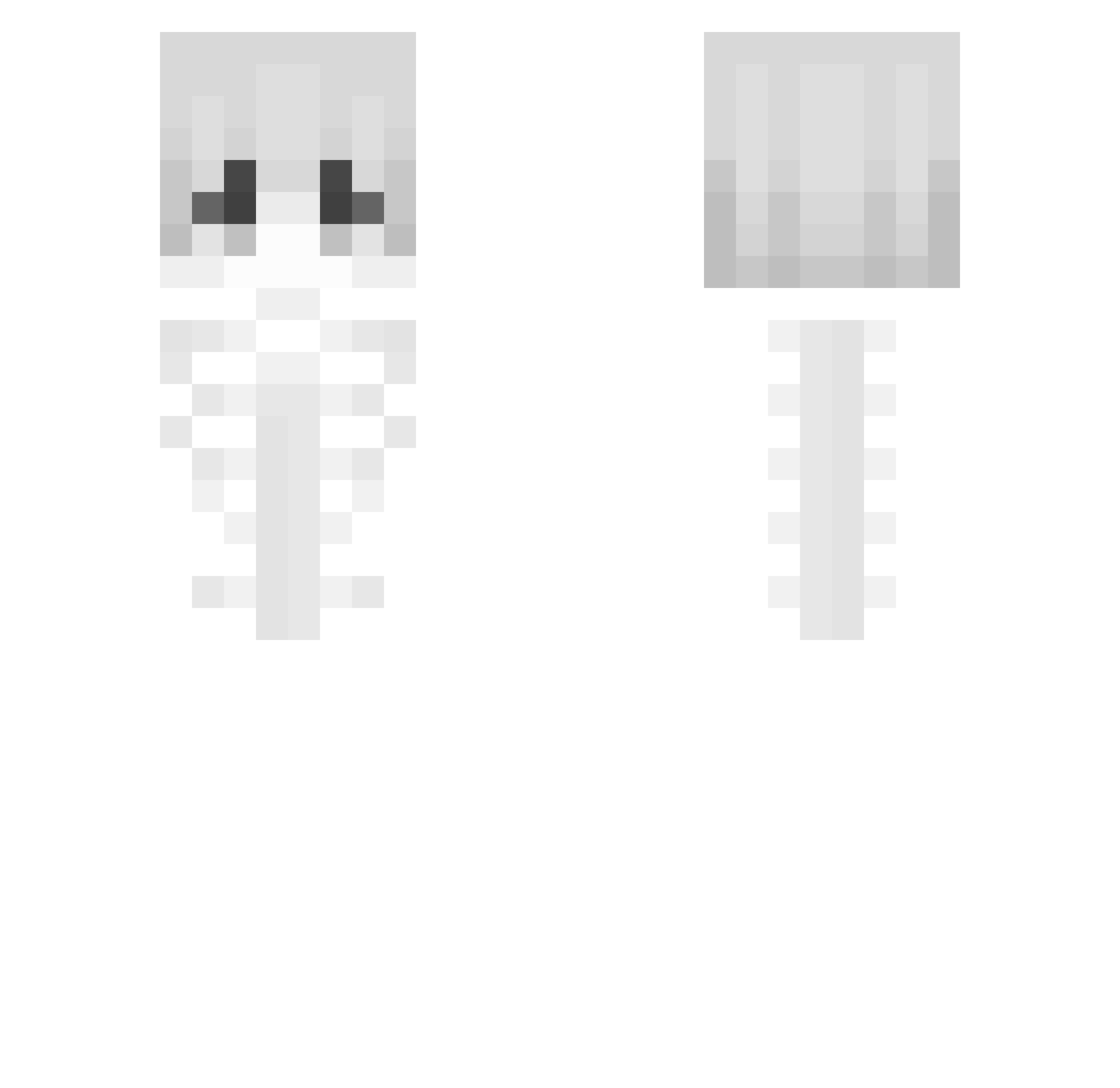 usfx Minecraft skin, front and back view