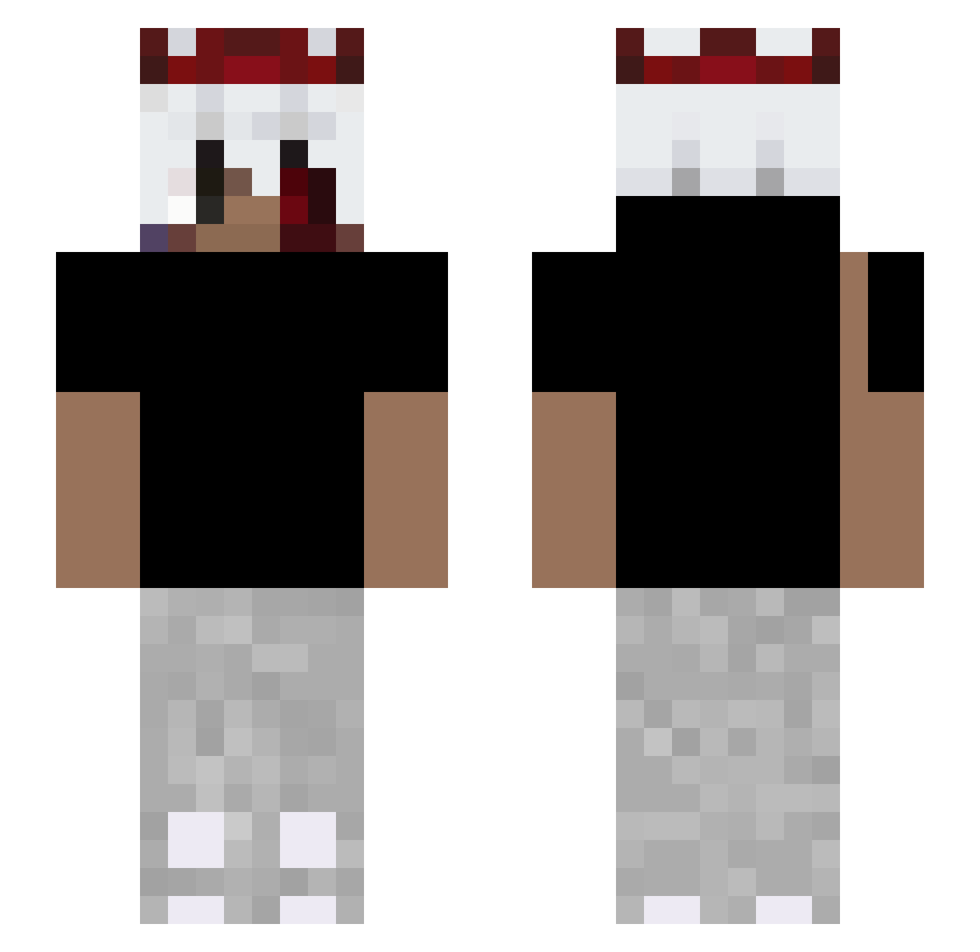 DARwin433 Minecraft skin, front and back view