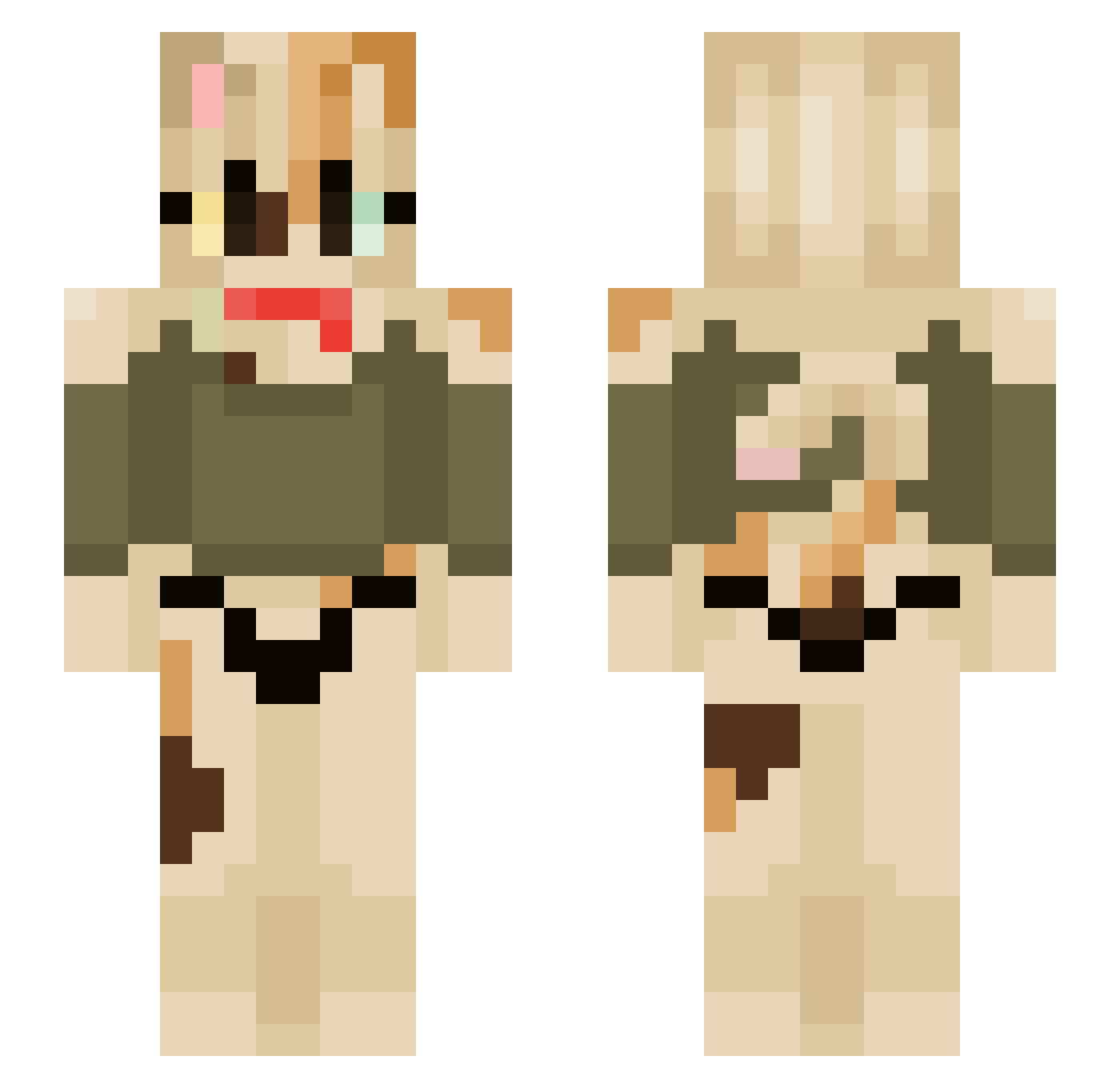 TigerShark9093 Minecraft skin, front and back view