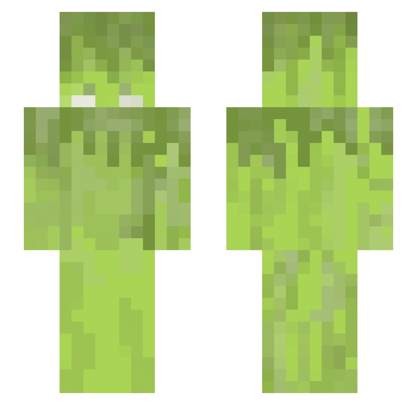 VoxelAcademy2 Minecraft skin, front and back view