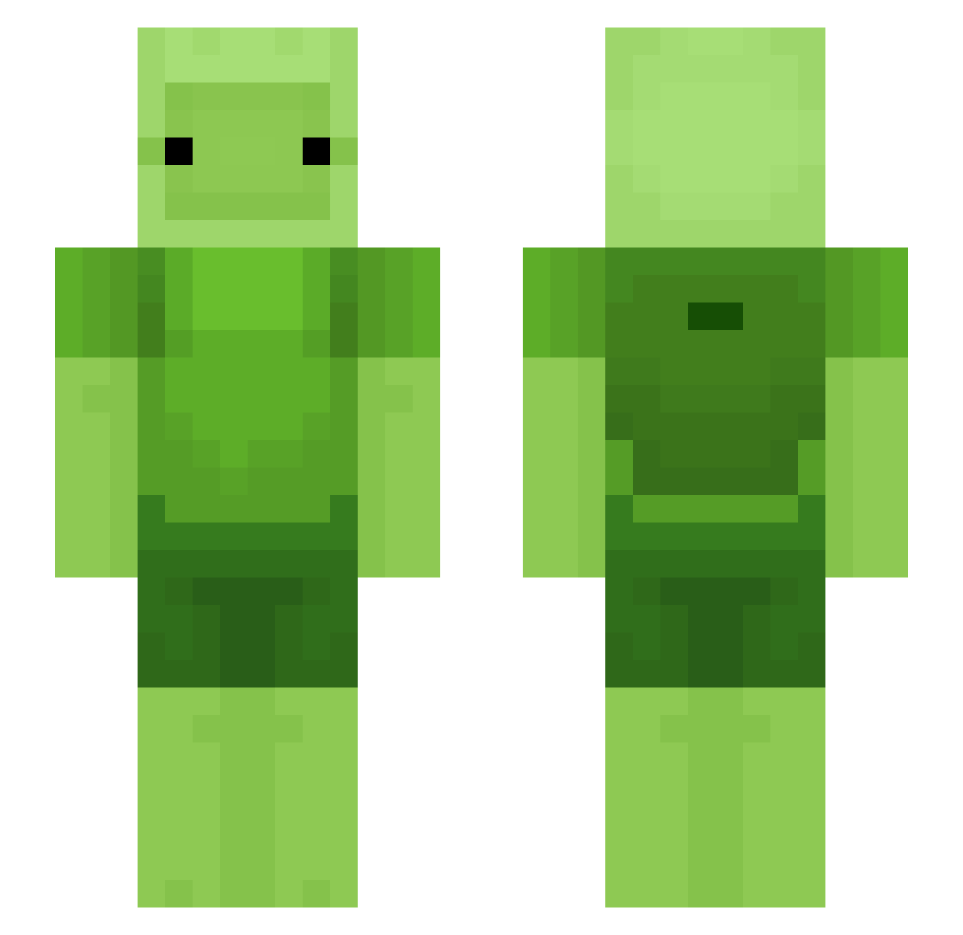 Danzzzoo Minecraft skin, front and back view