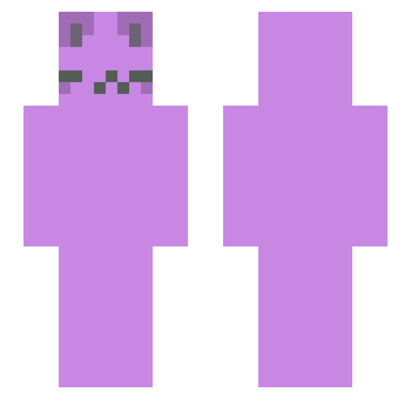 iq95 Minecraft skin, front and back view
